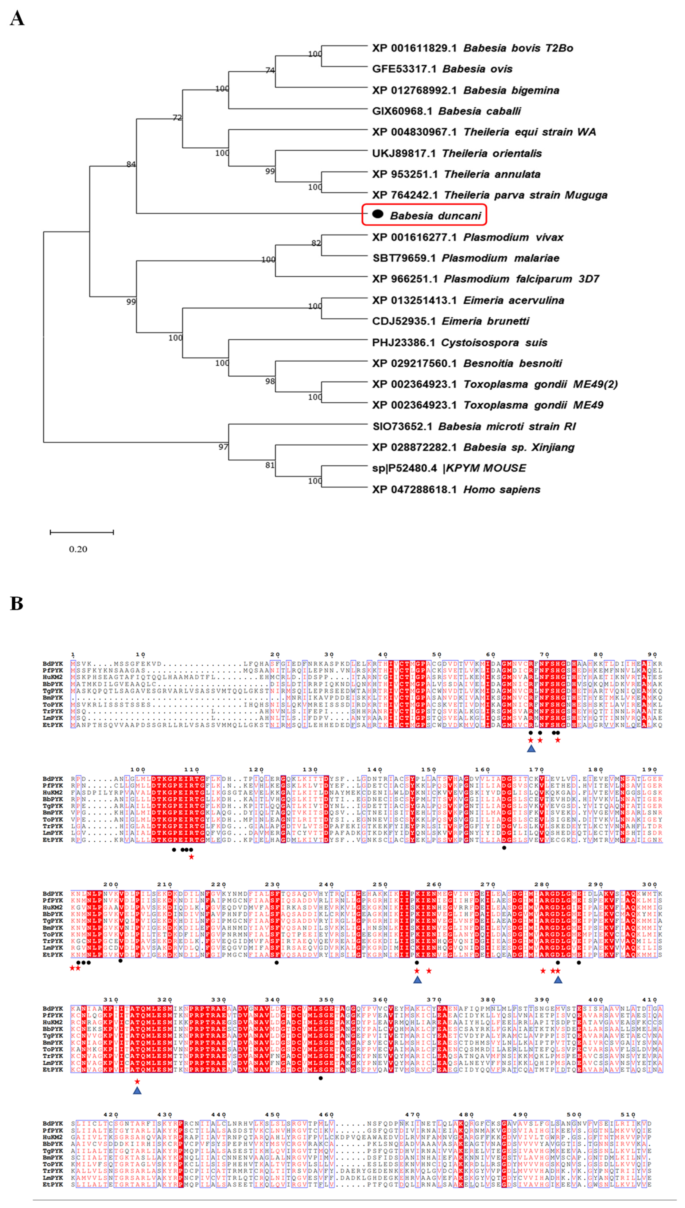 Microorganisms 12 01141 g002