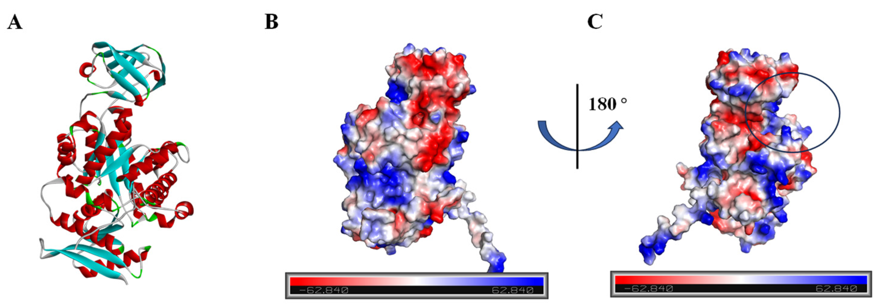 Microorganisms 12 01141 g004