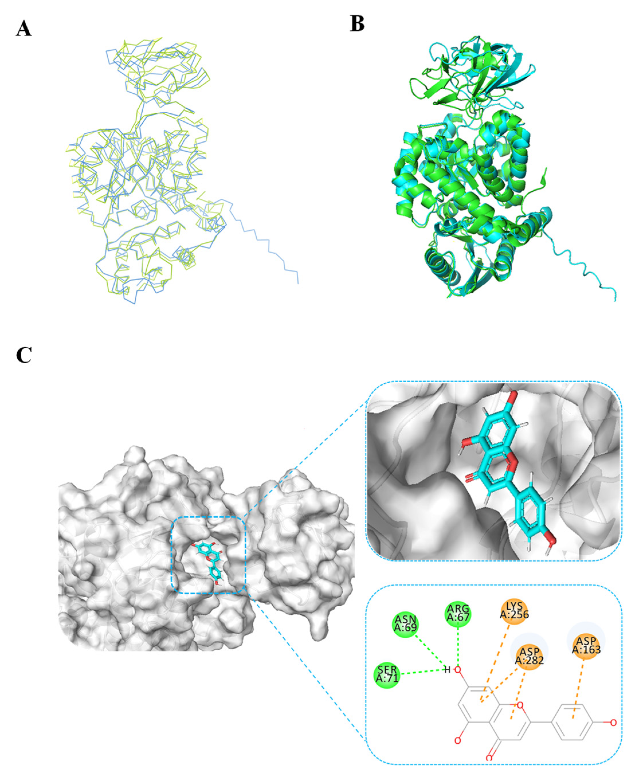 Microorganisms 12 01141 g005