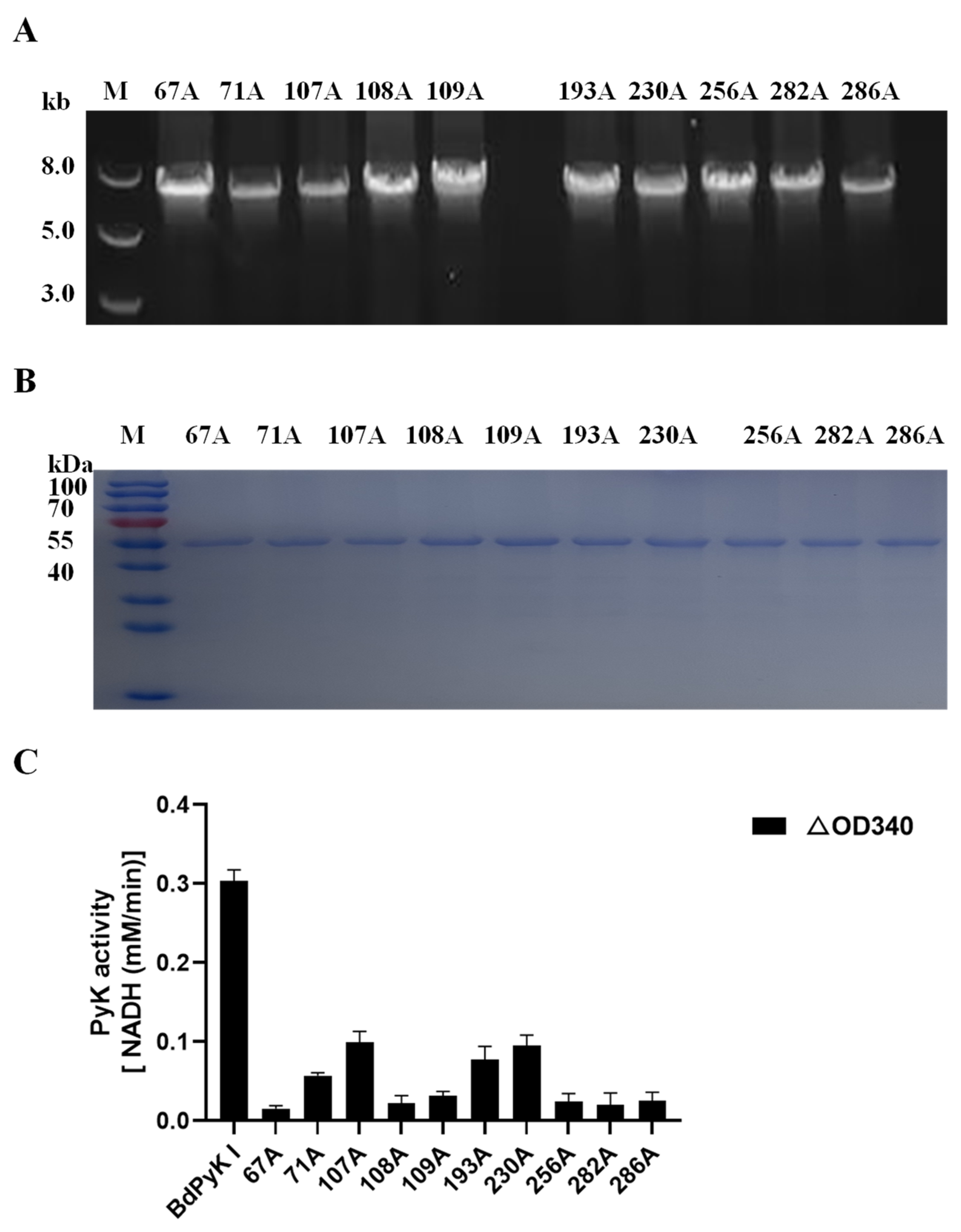 Microorganisms 12 01141 g011