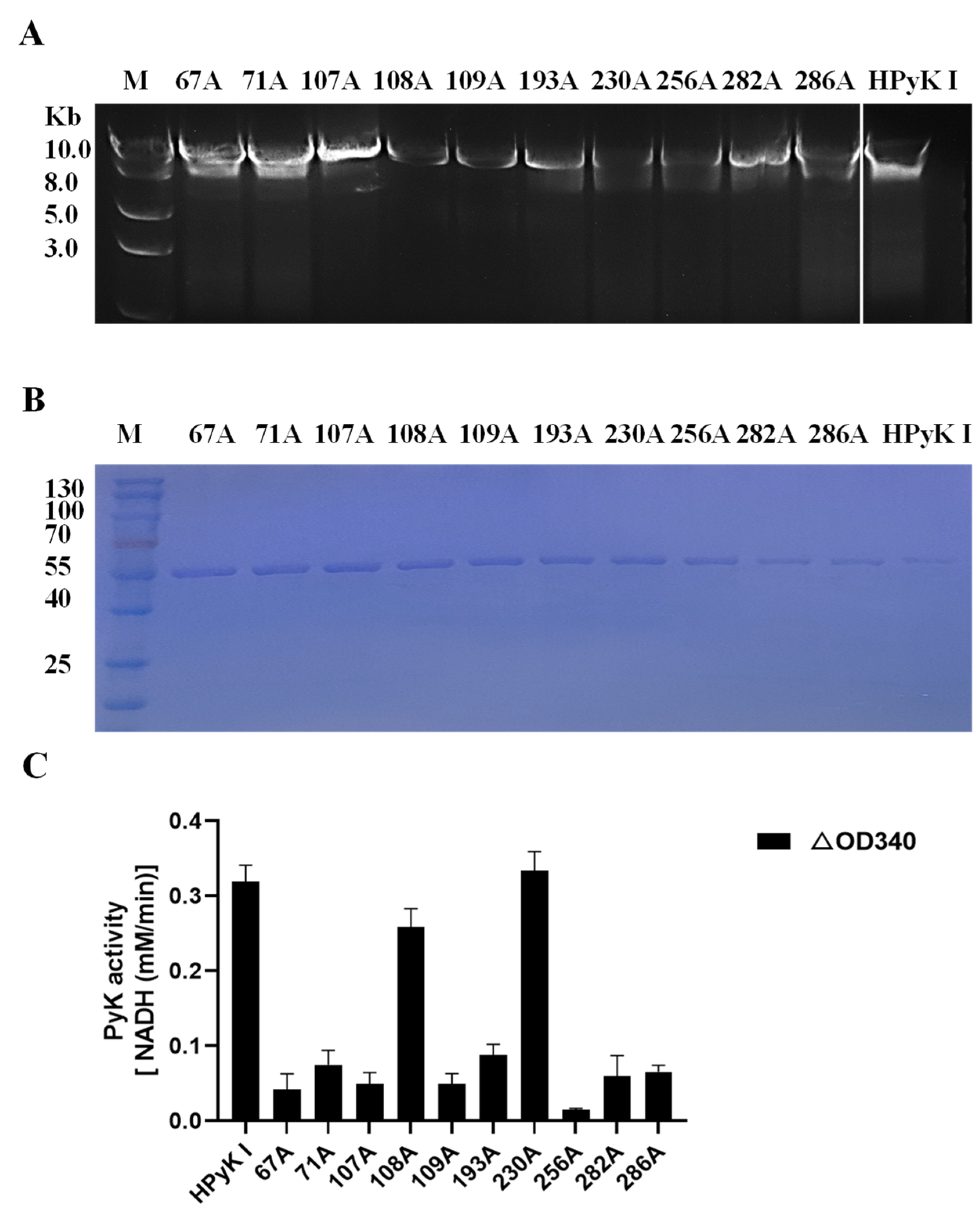 Microorganisms 12 01141 g012