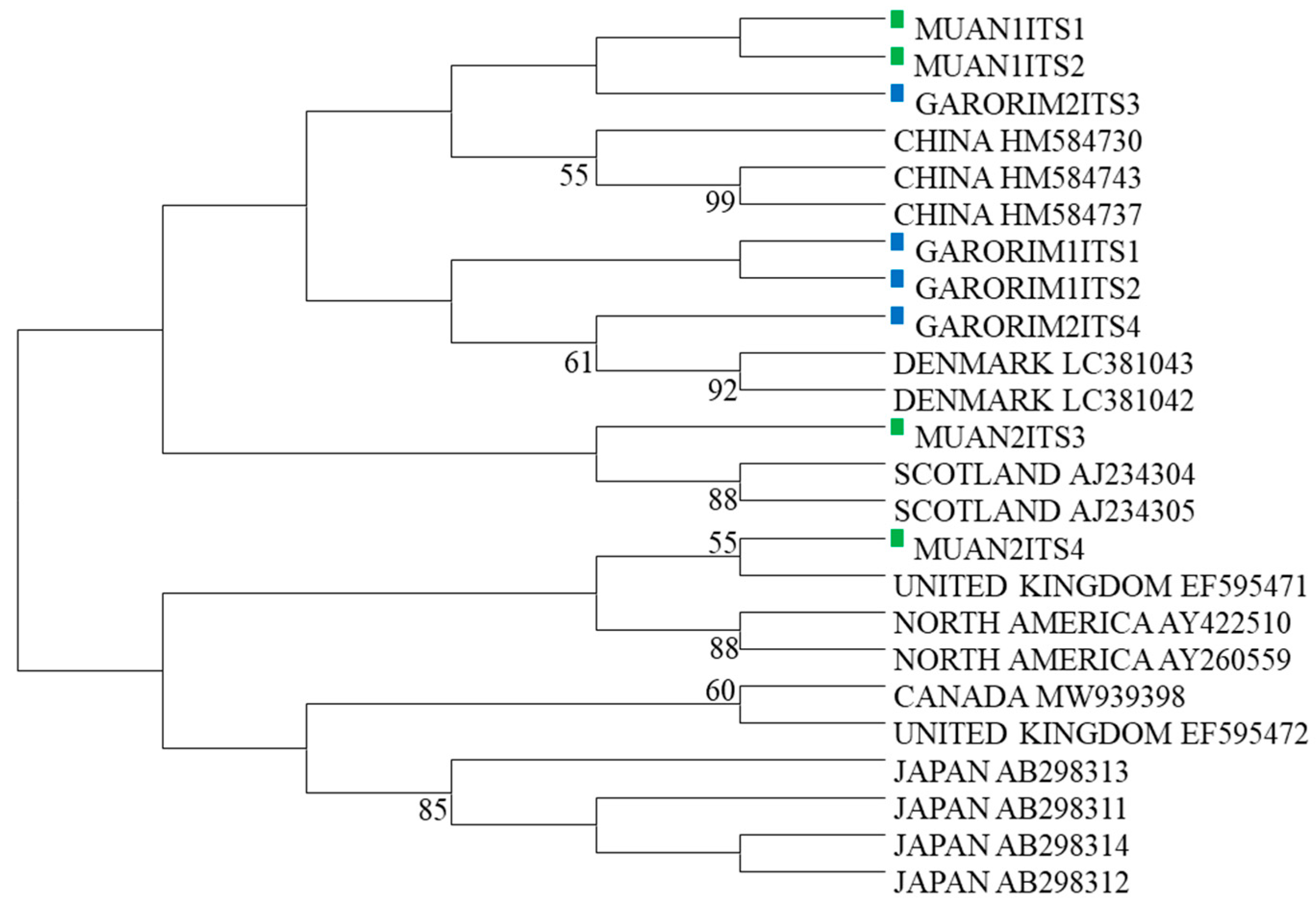 Microorganisms 12 01142 g003
