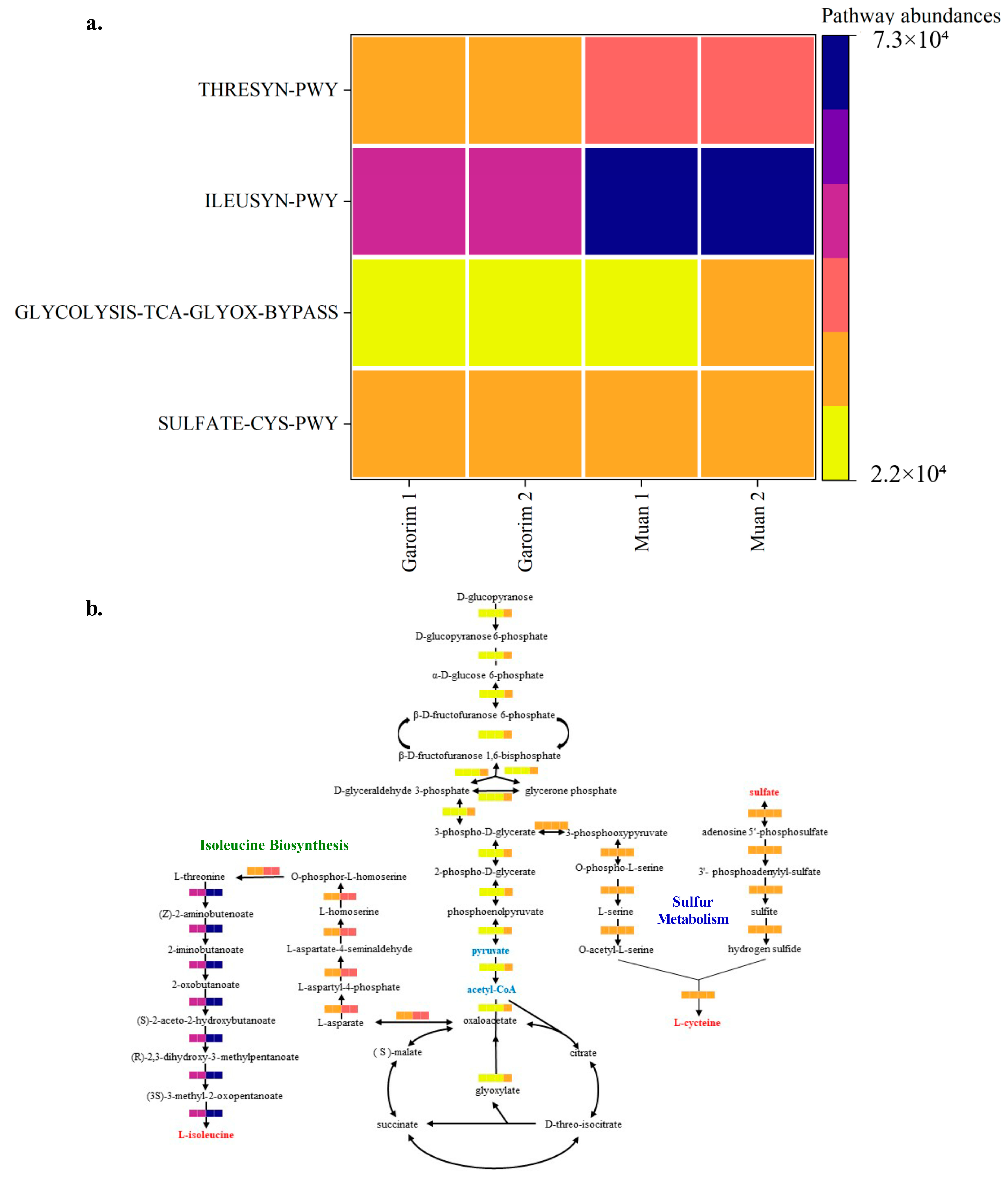 Microorganisms 12 01142 g009