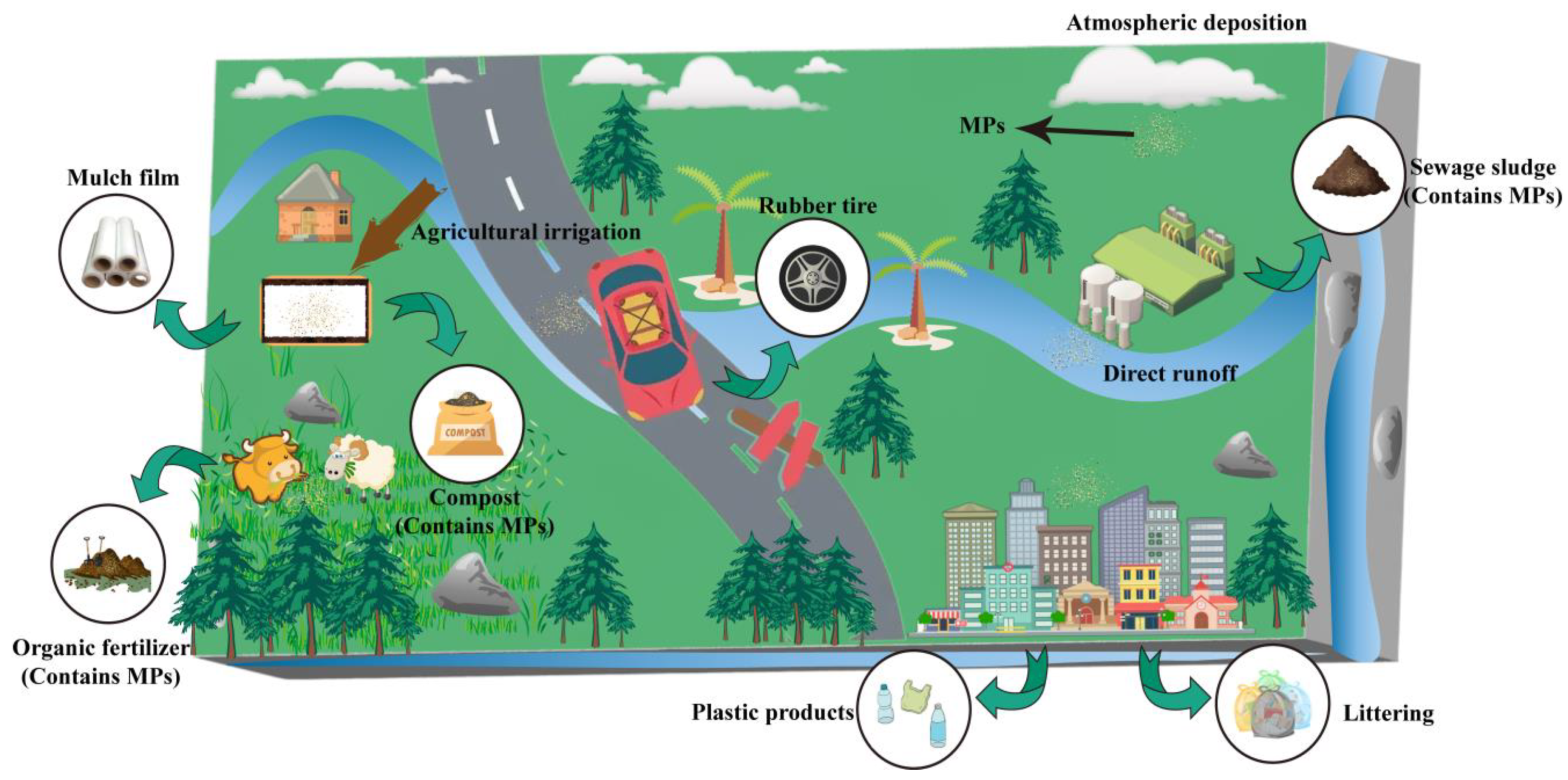 Microorganisms 12 01147 g002