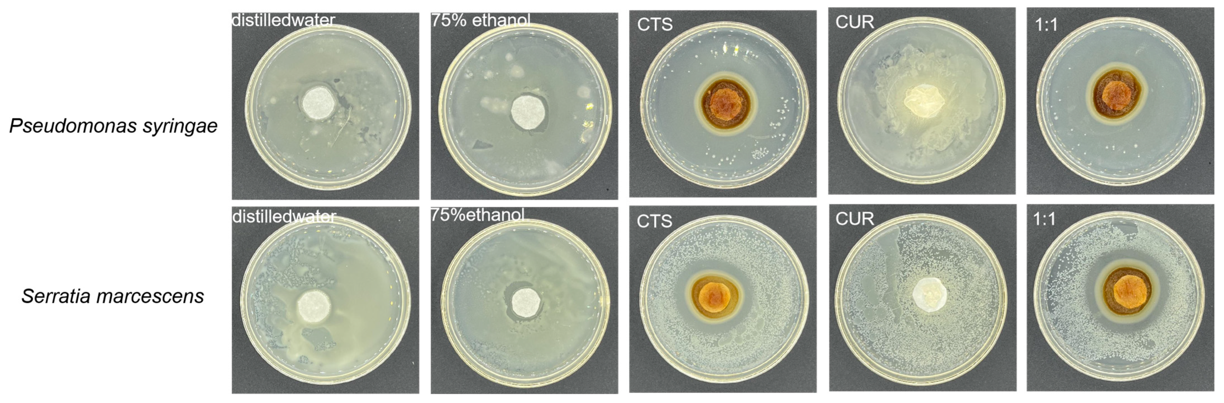 Microorganisms 12 01149 g002