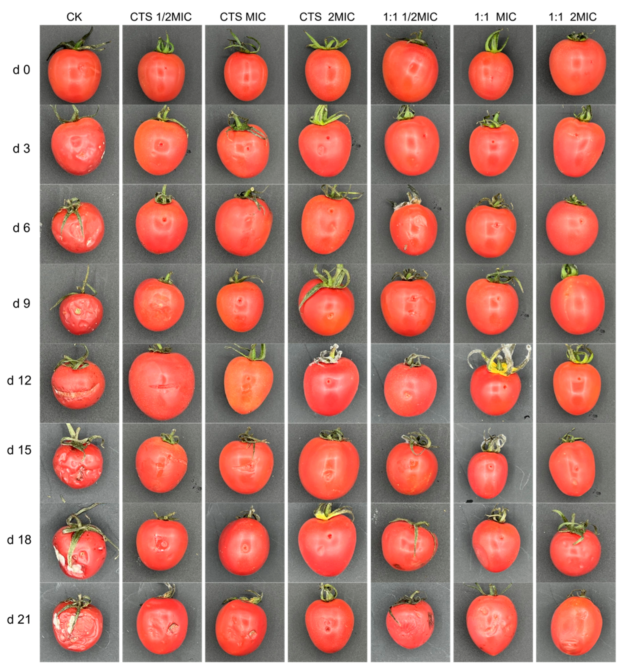 Microorganisms 12 01149 g010