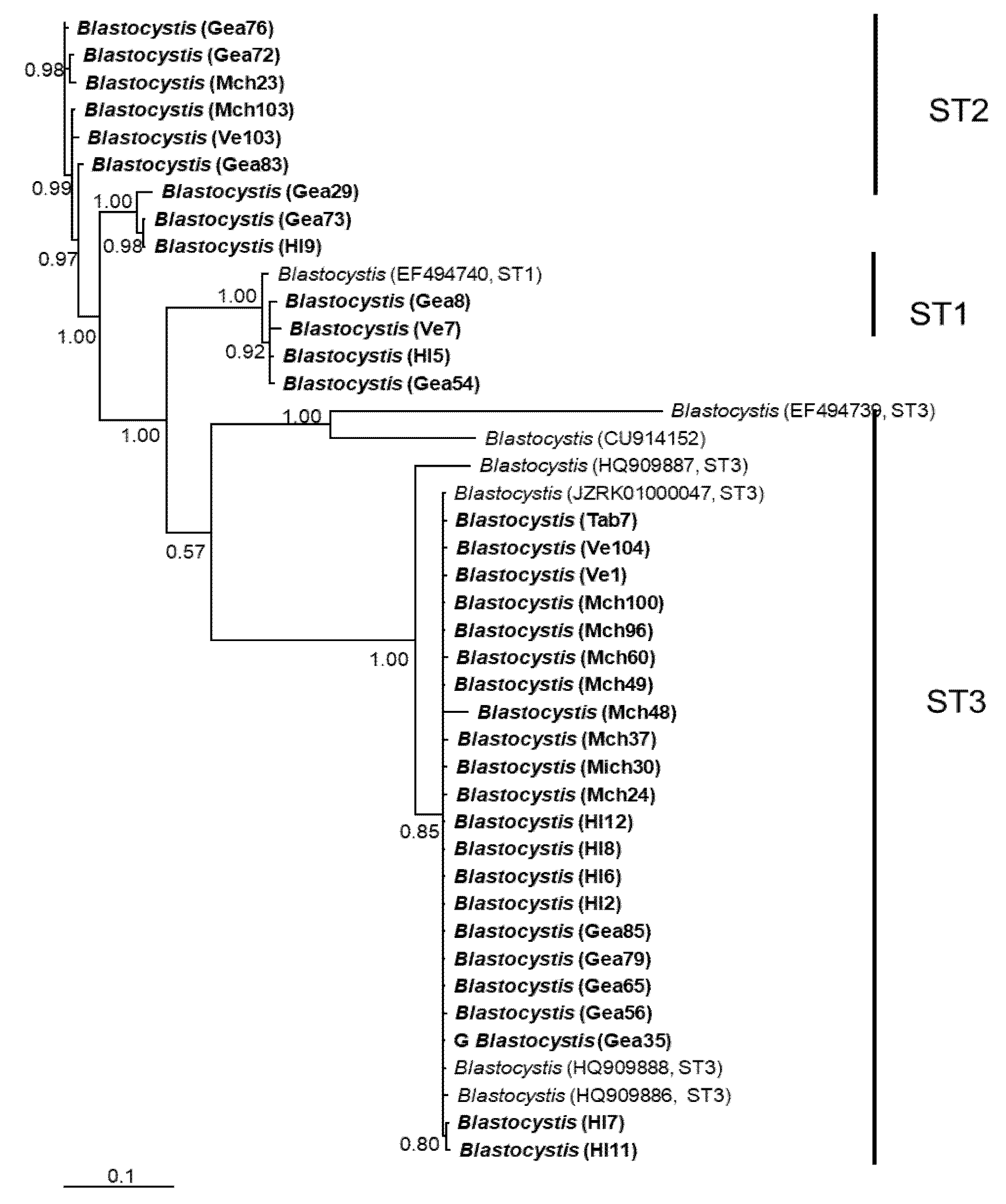 Microorganisms 12 01152 g002