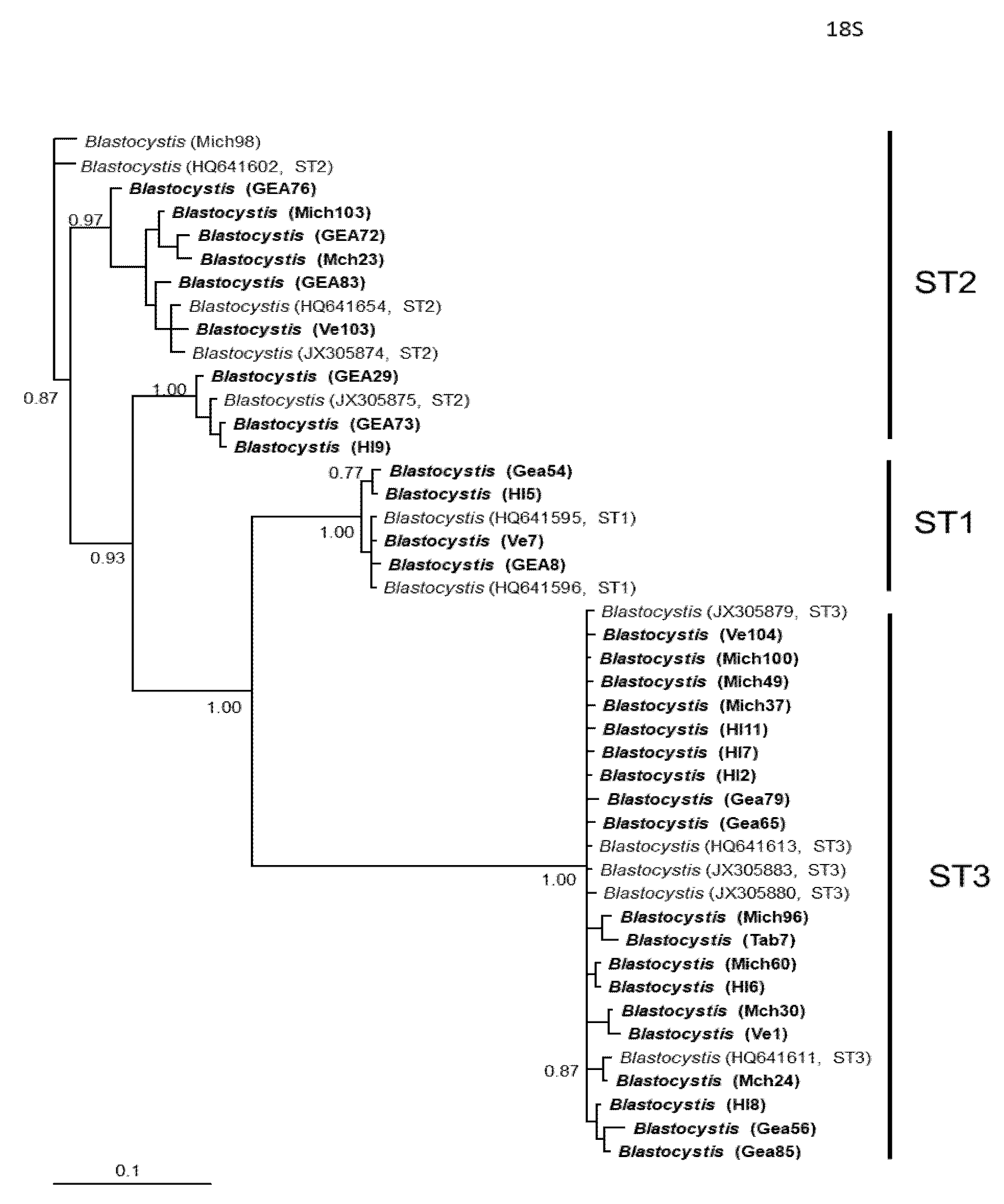 Microorganisms 12 01152 g003