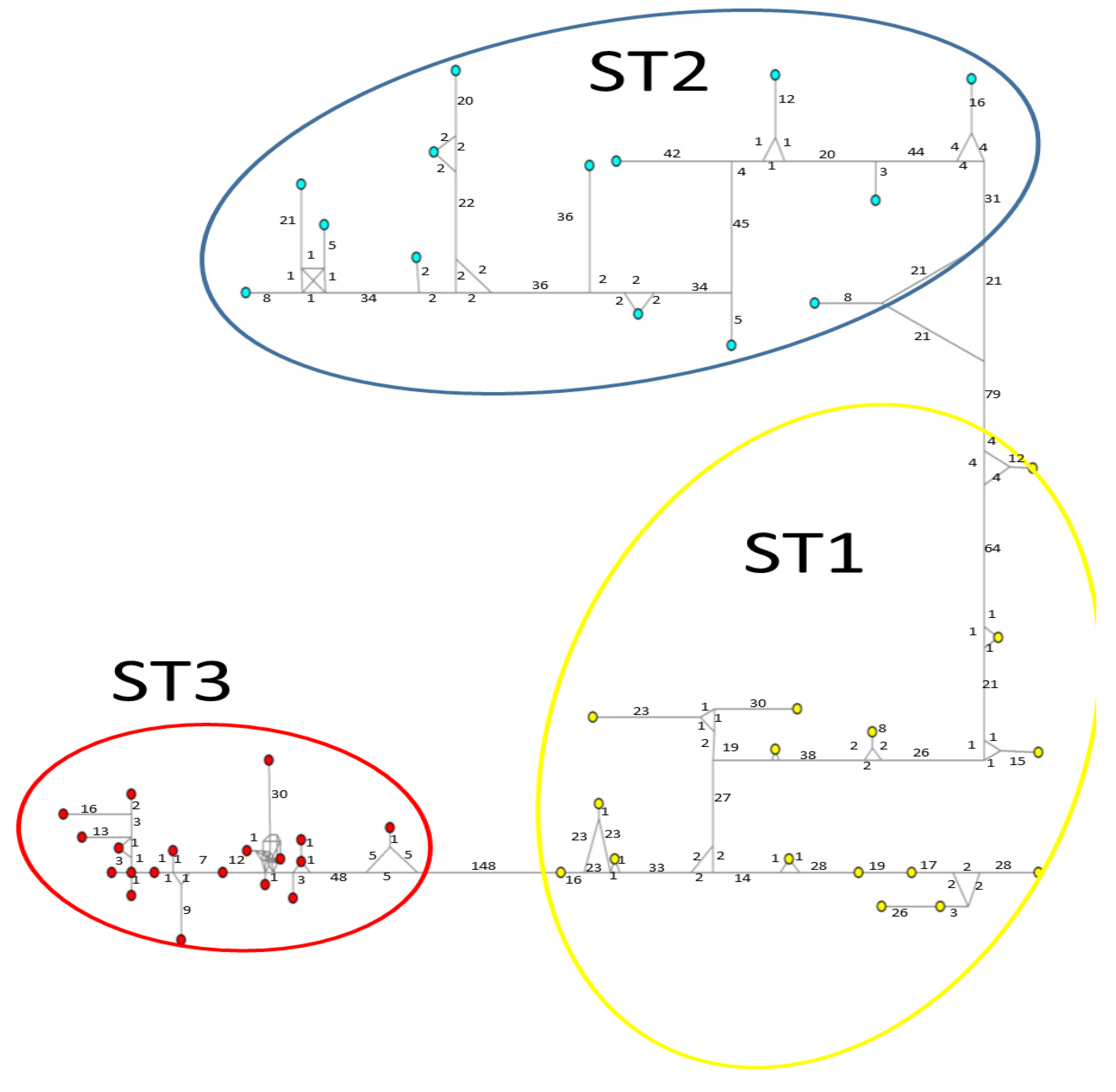 Microorganisms 12 01152 g004