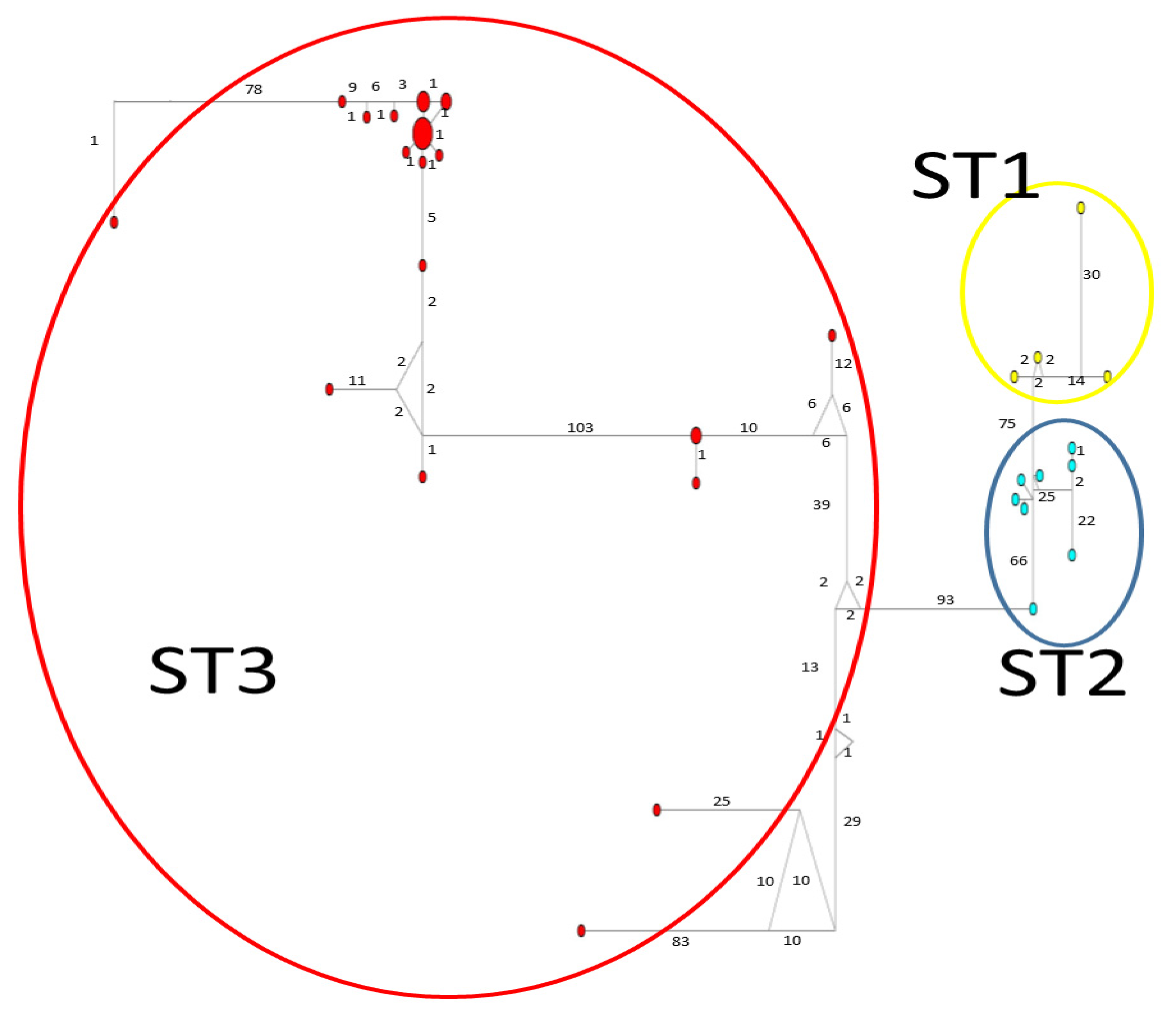 Microorganisms 12 01152 g005