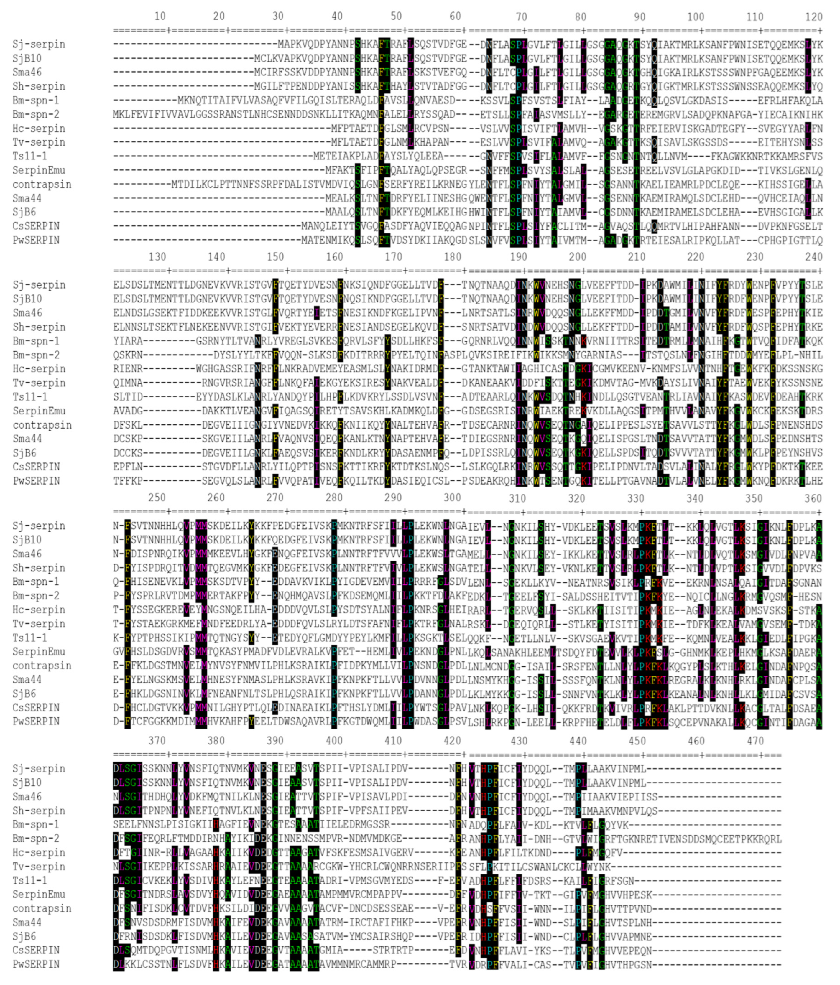 Microorganisms 12 01164 g002