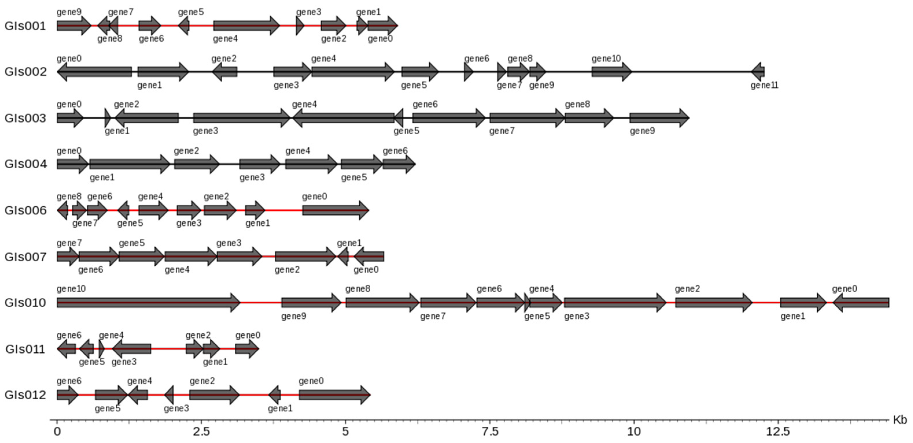 Microorganisms 12 01168 g006 Microorganisms 12 01168 g006
