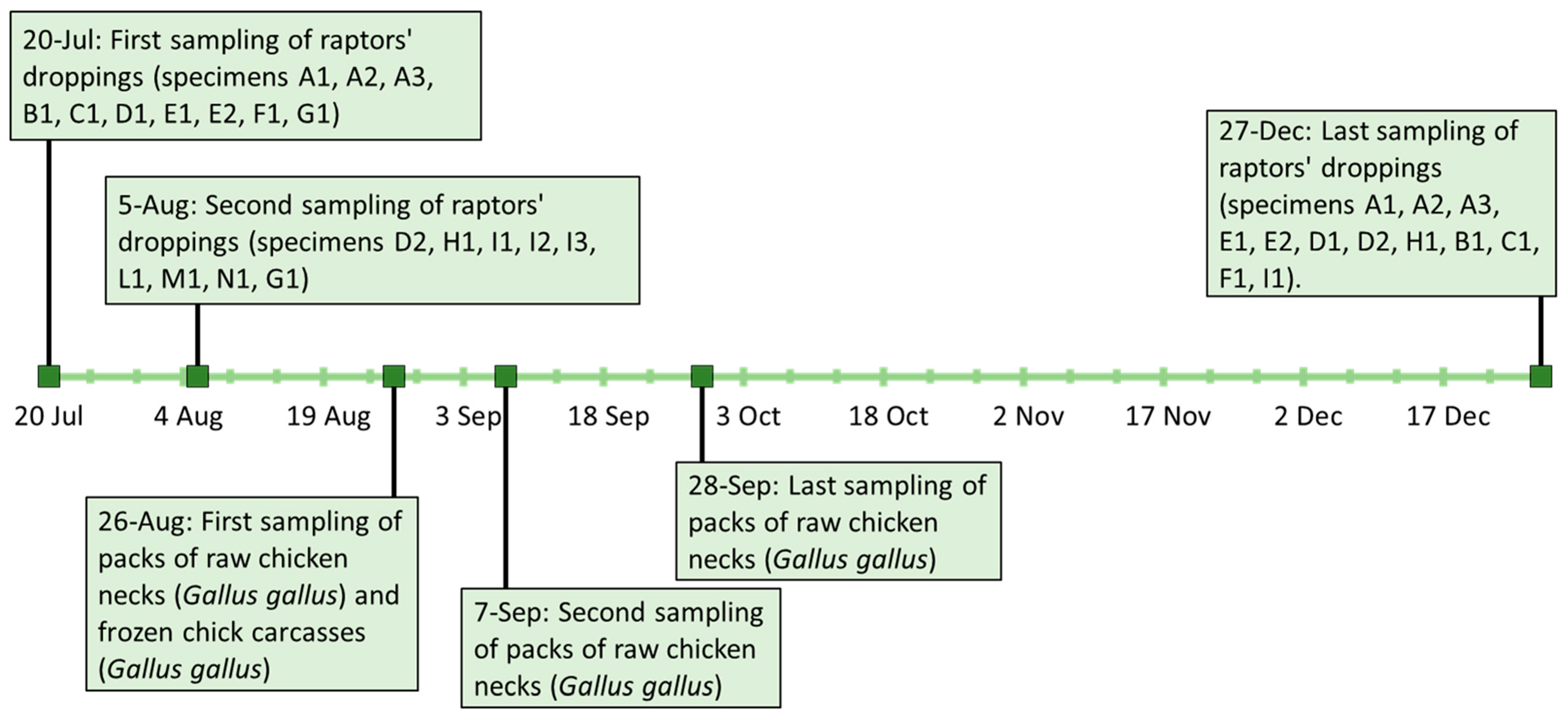 Microorganisms 12 01169 g001