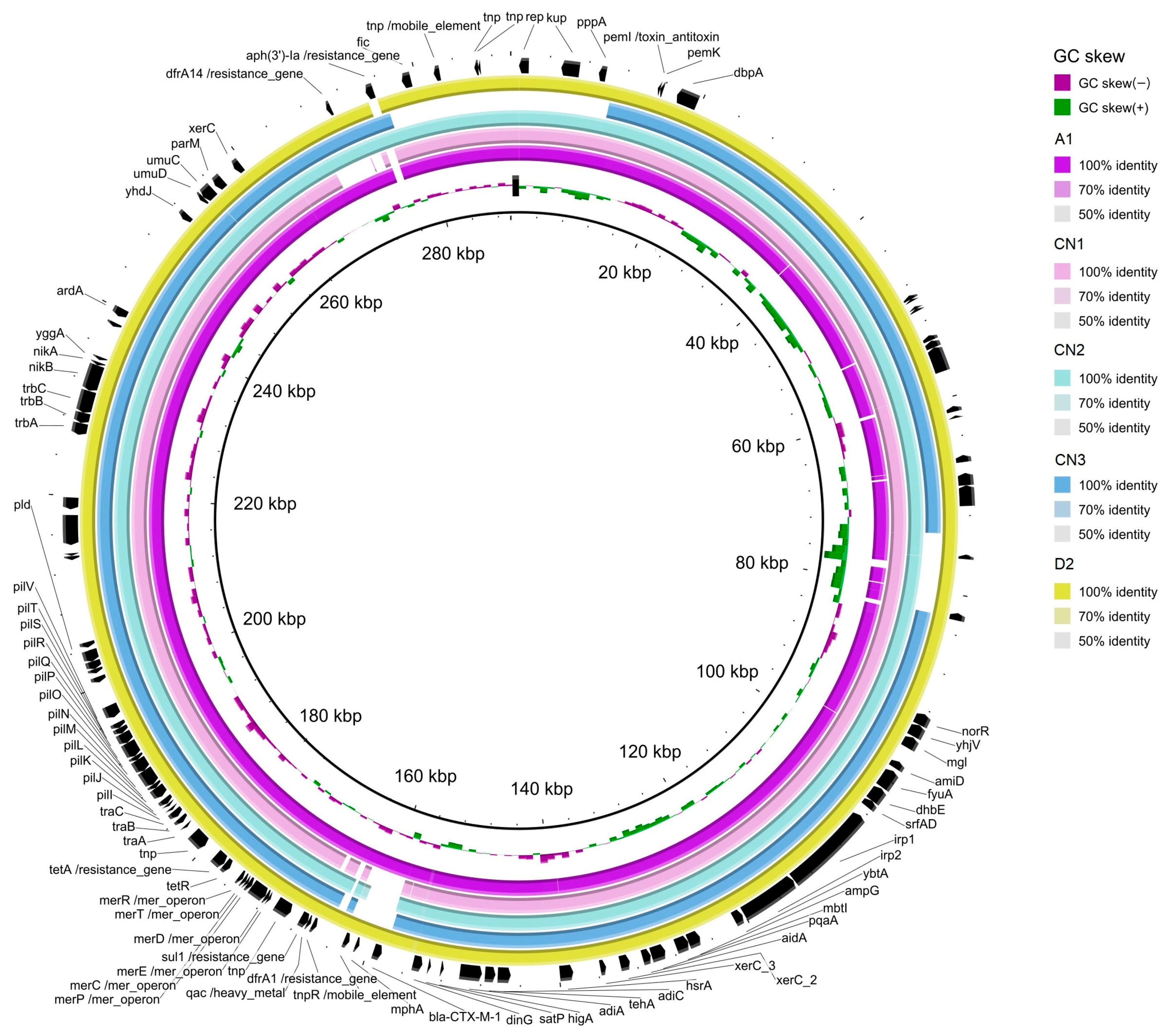 Microorganisms 12 01169 g003