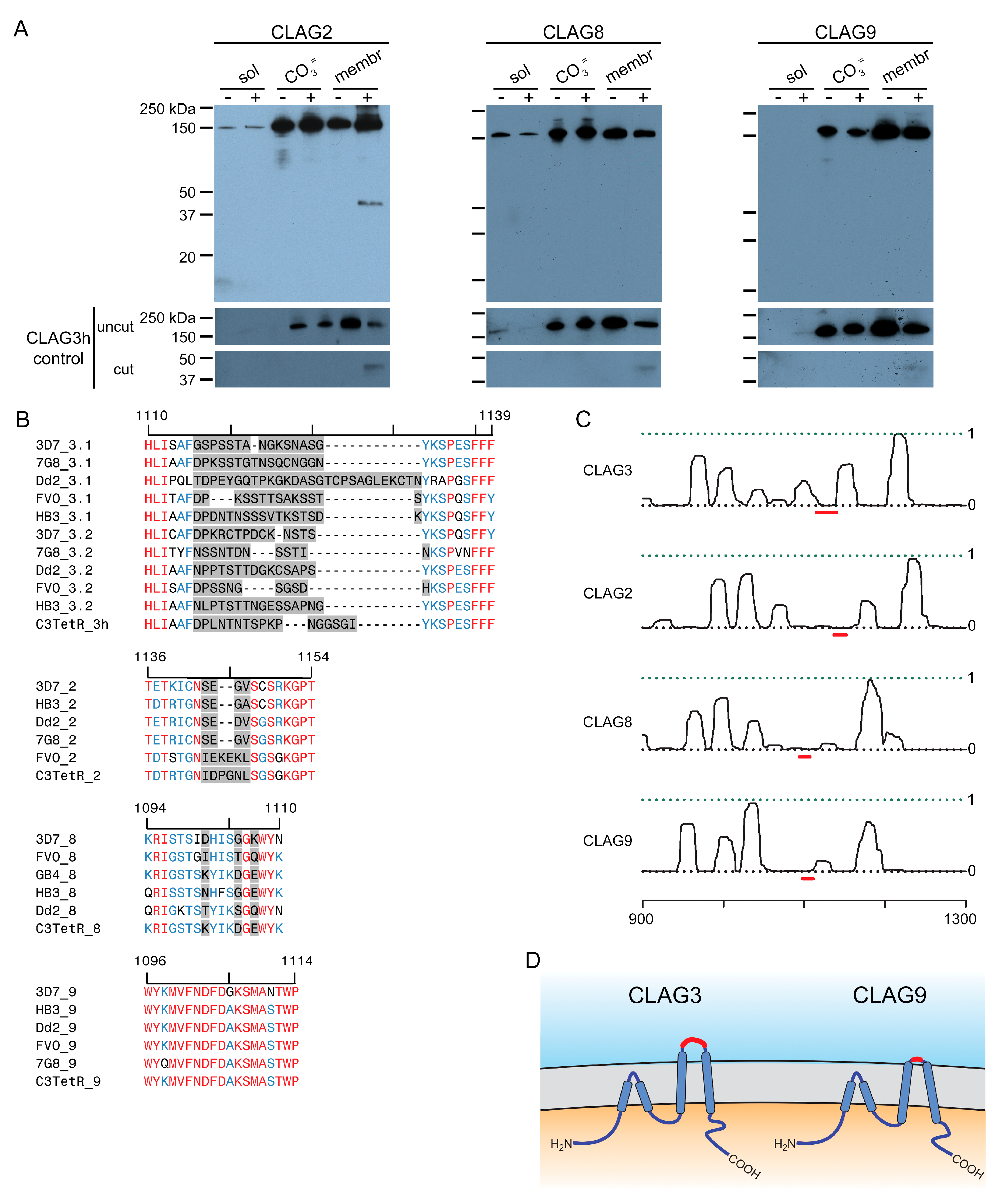 Microorganisms 12 01172 g002