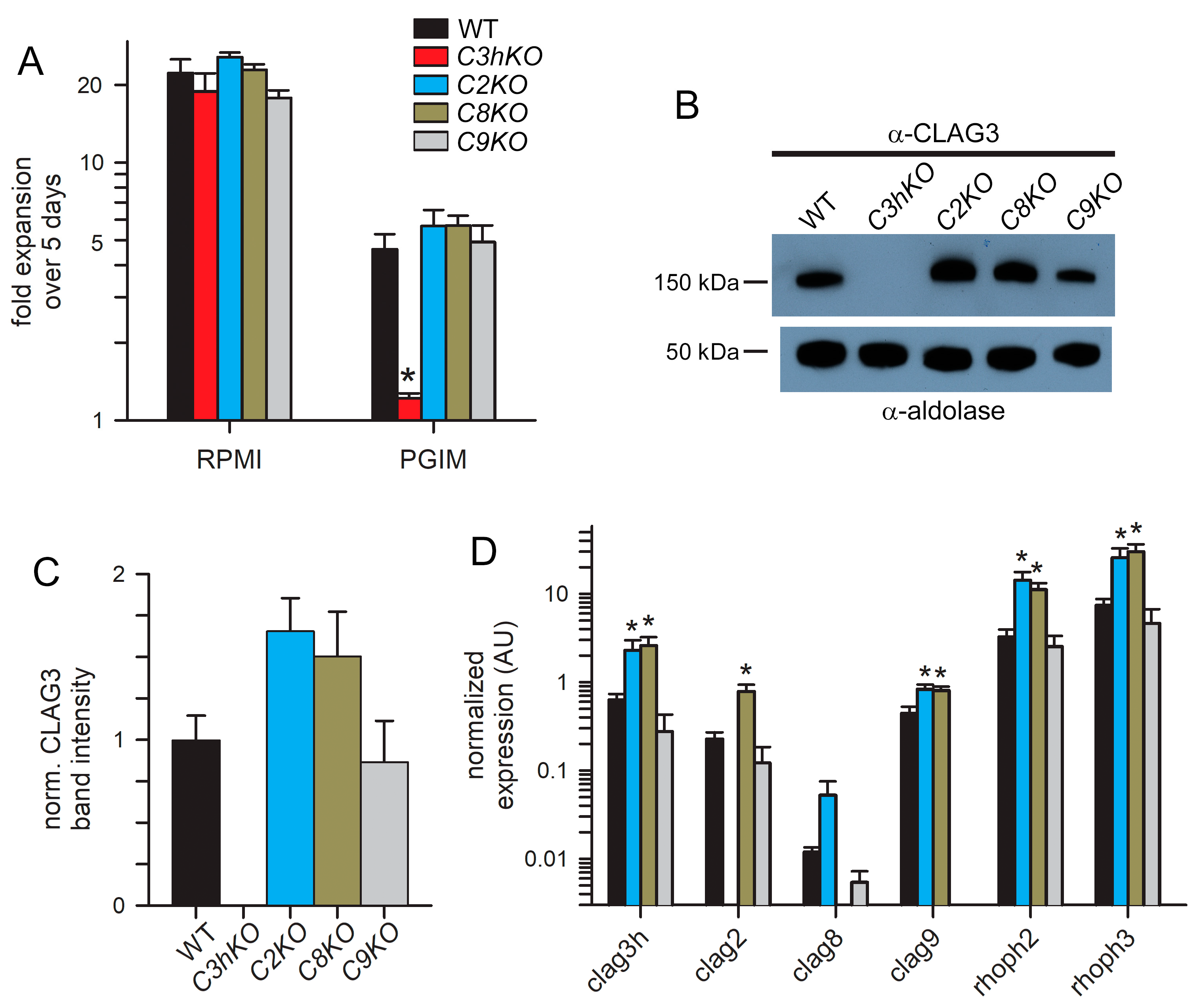 Microorganisms 12 01172 g003