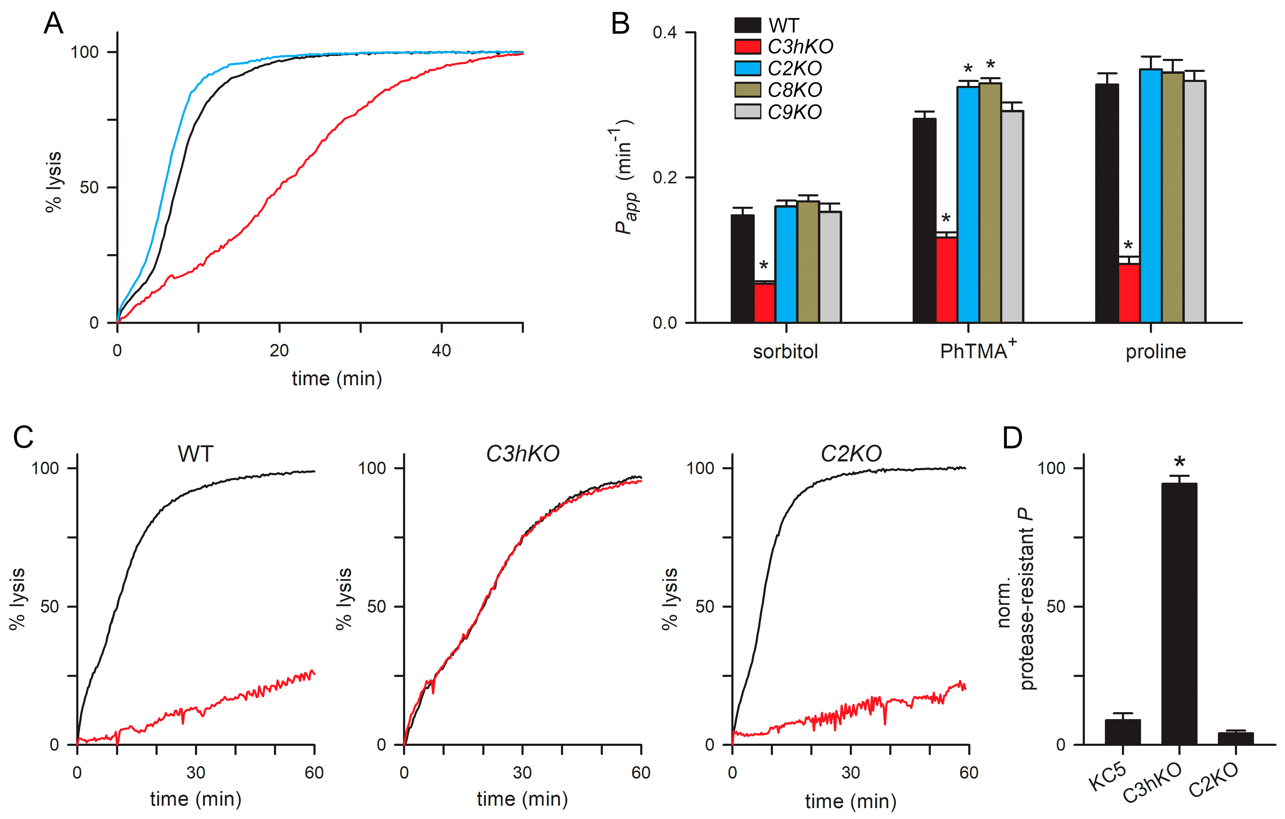 Microorganisms 12 01172 g004