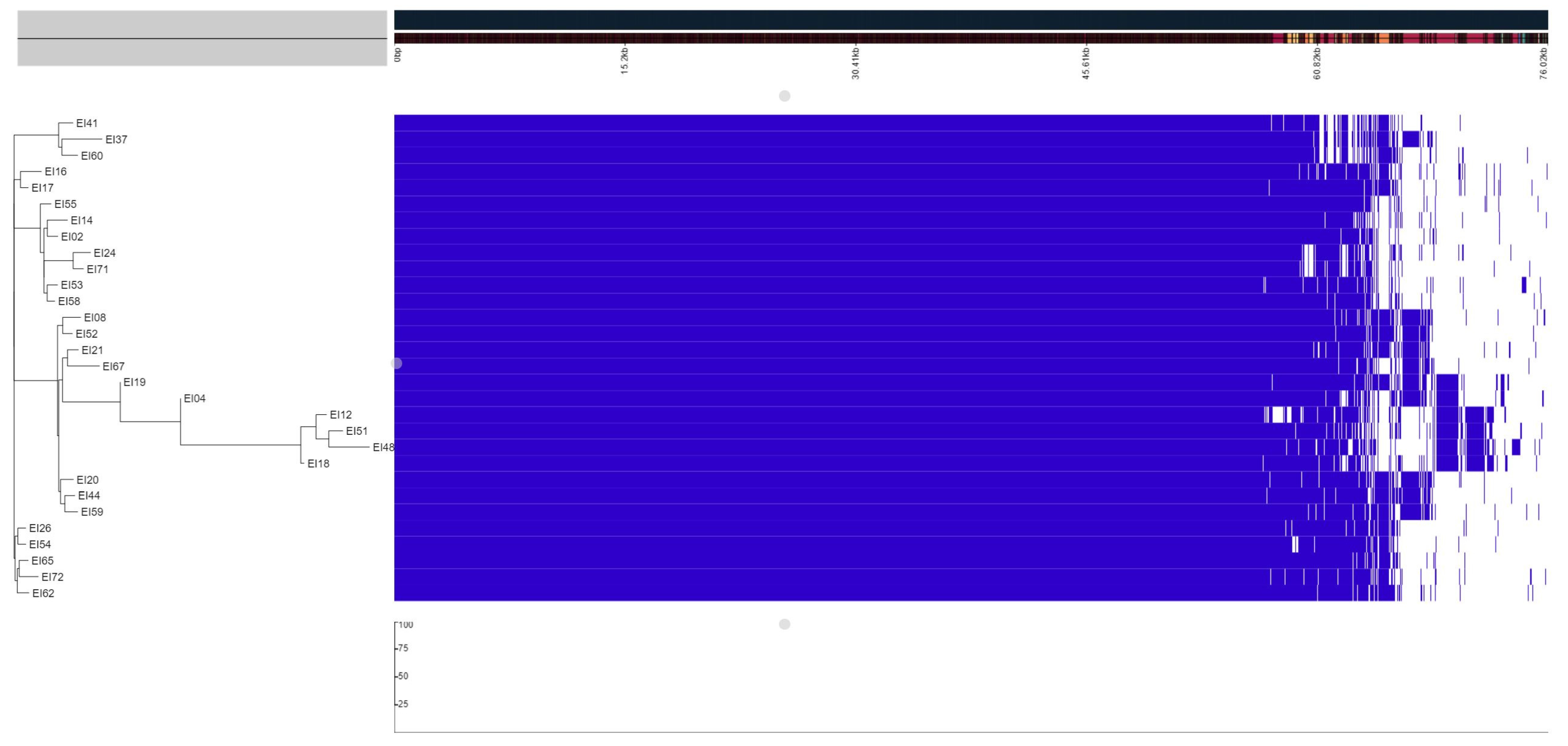 Microorganisms 12 01182 g003