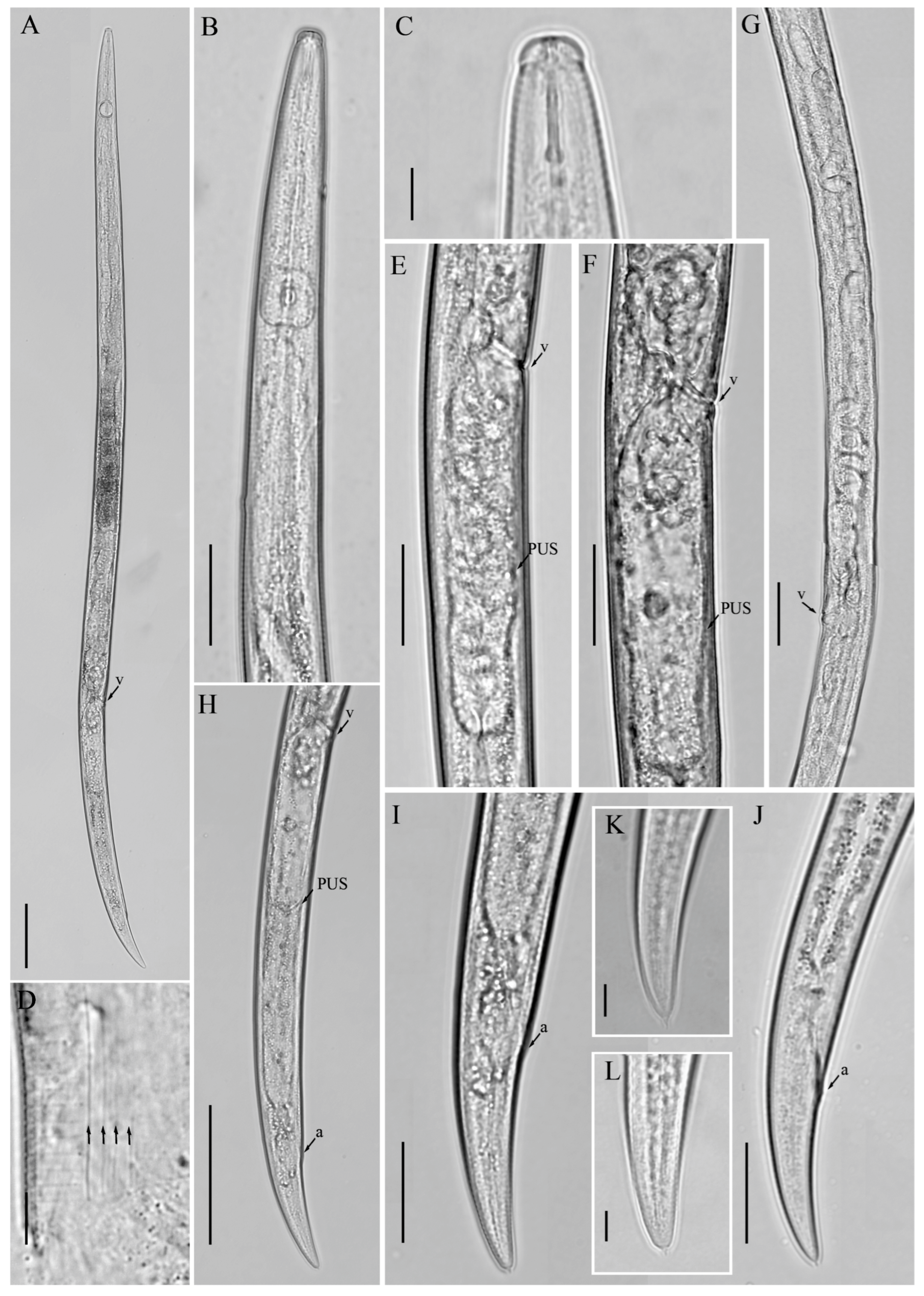 Microorganisms 12 01187 g002 Microorganisms 12 01187 g002