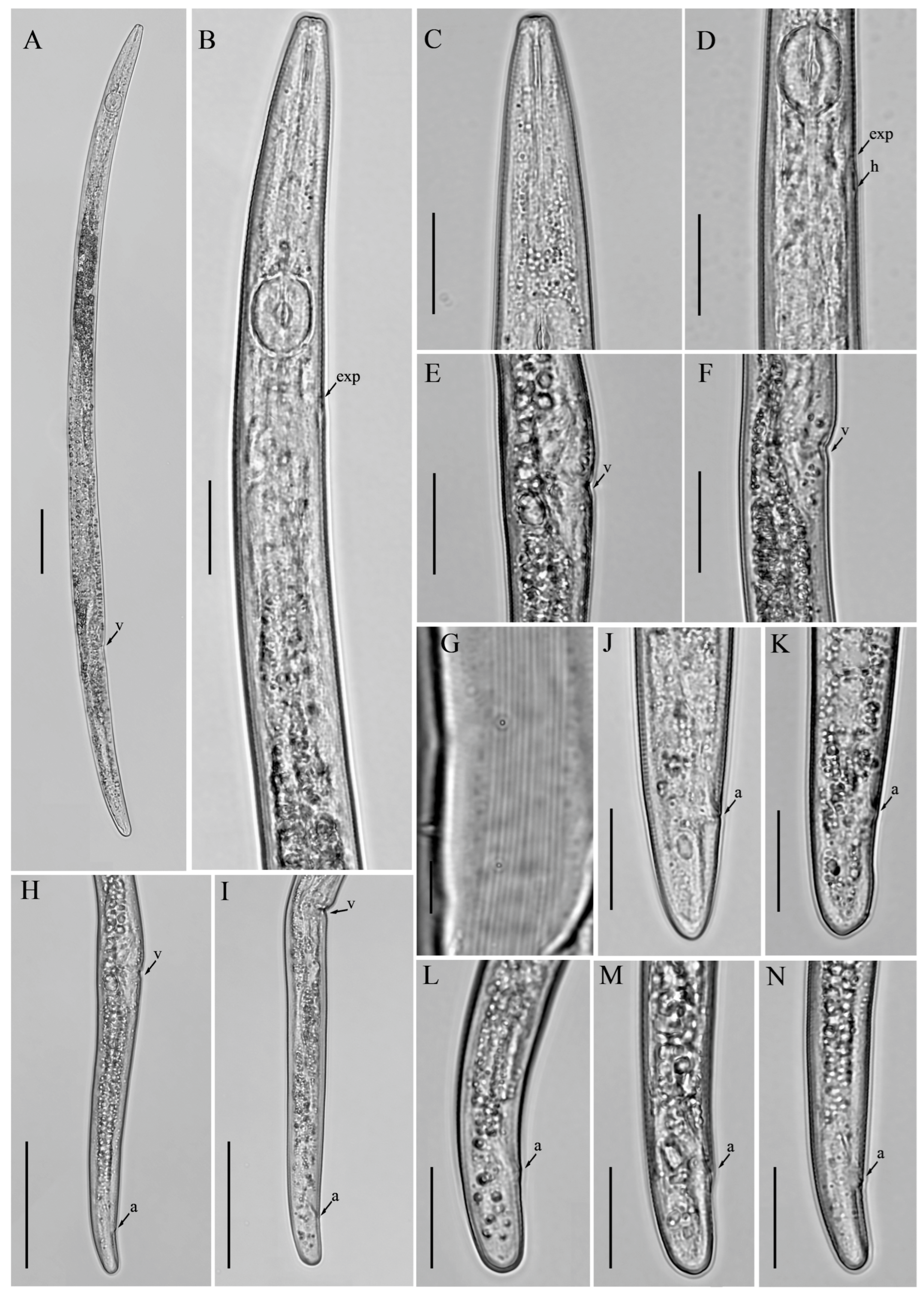 Microorganisms 12 01187 g005 Microorganisms 12 01187 g005