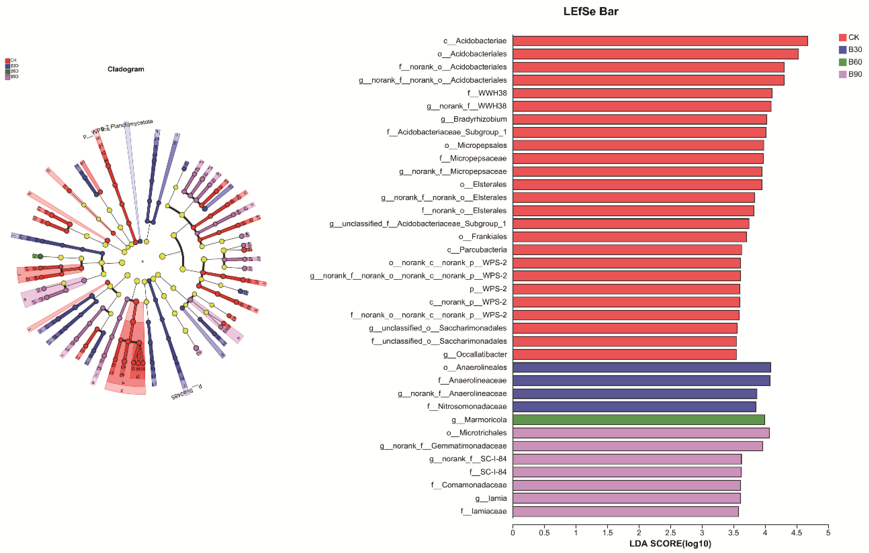 Microorganisms 12 01190 g005