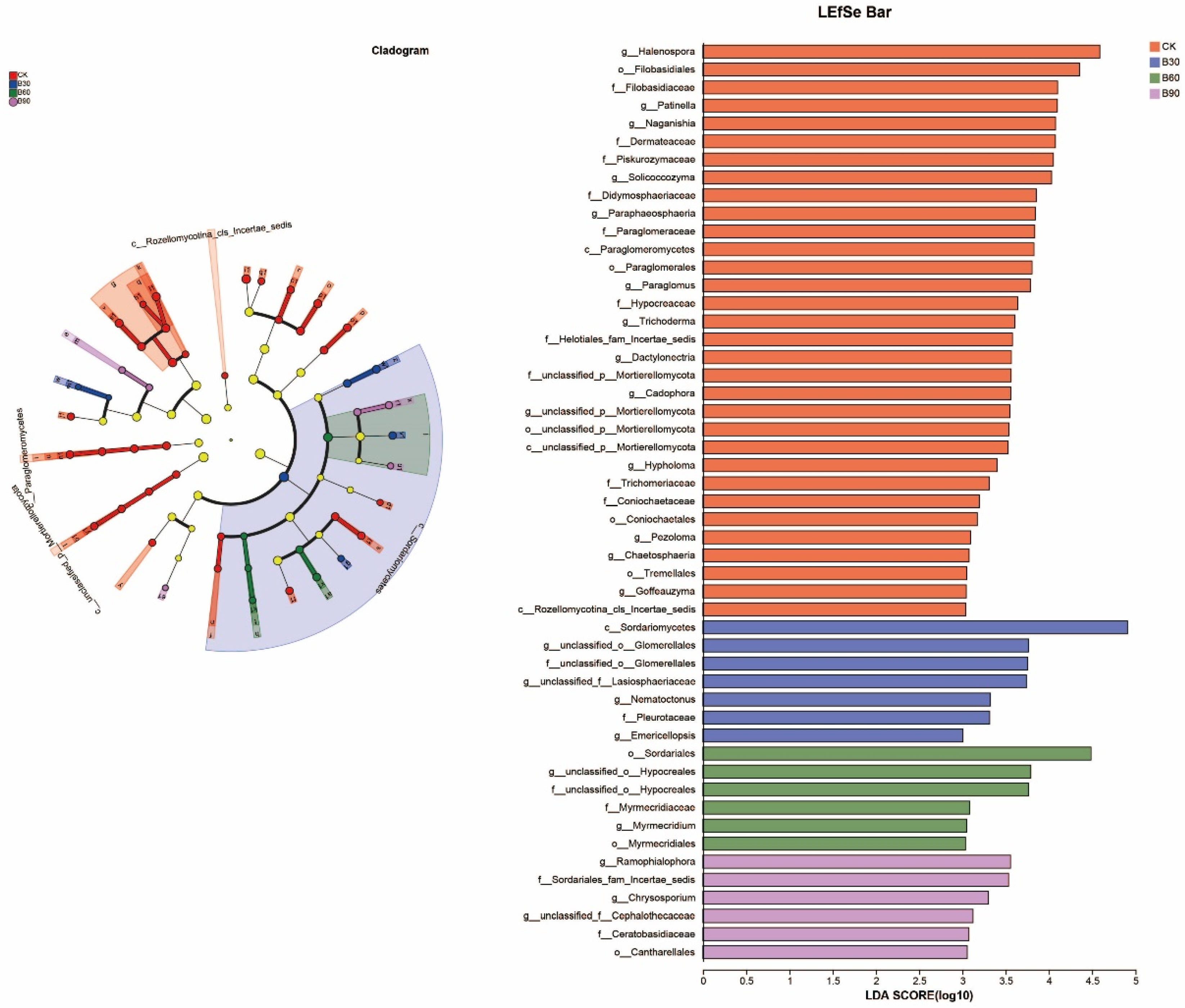 Microorganisms 12 01190 g006