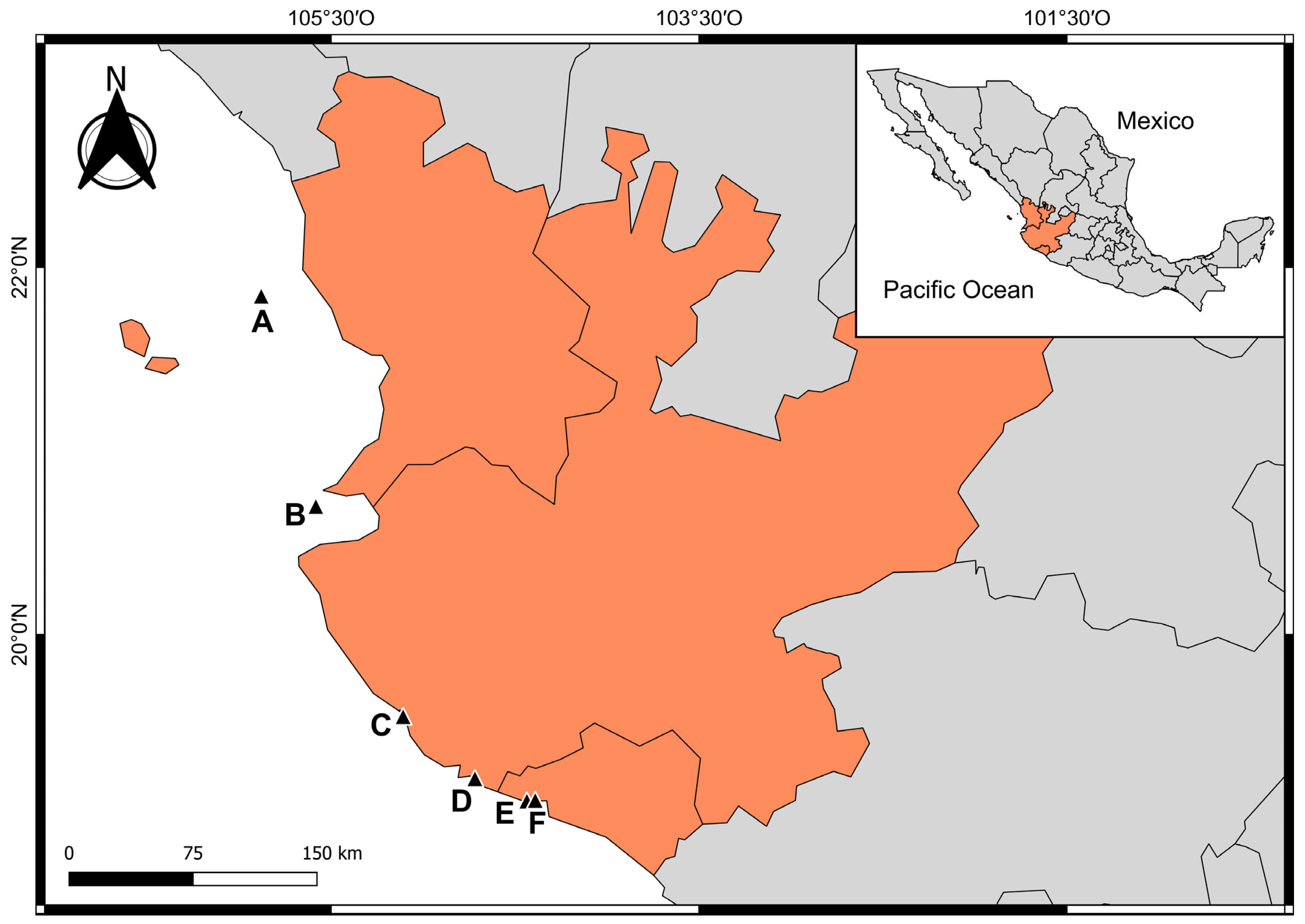 Microorganisms 12 01195 g001