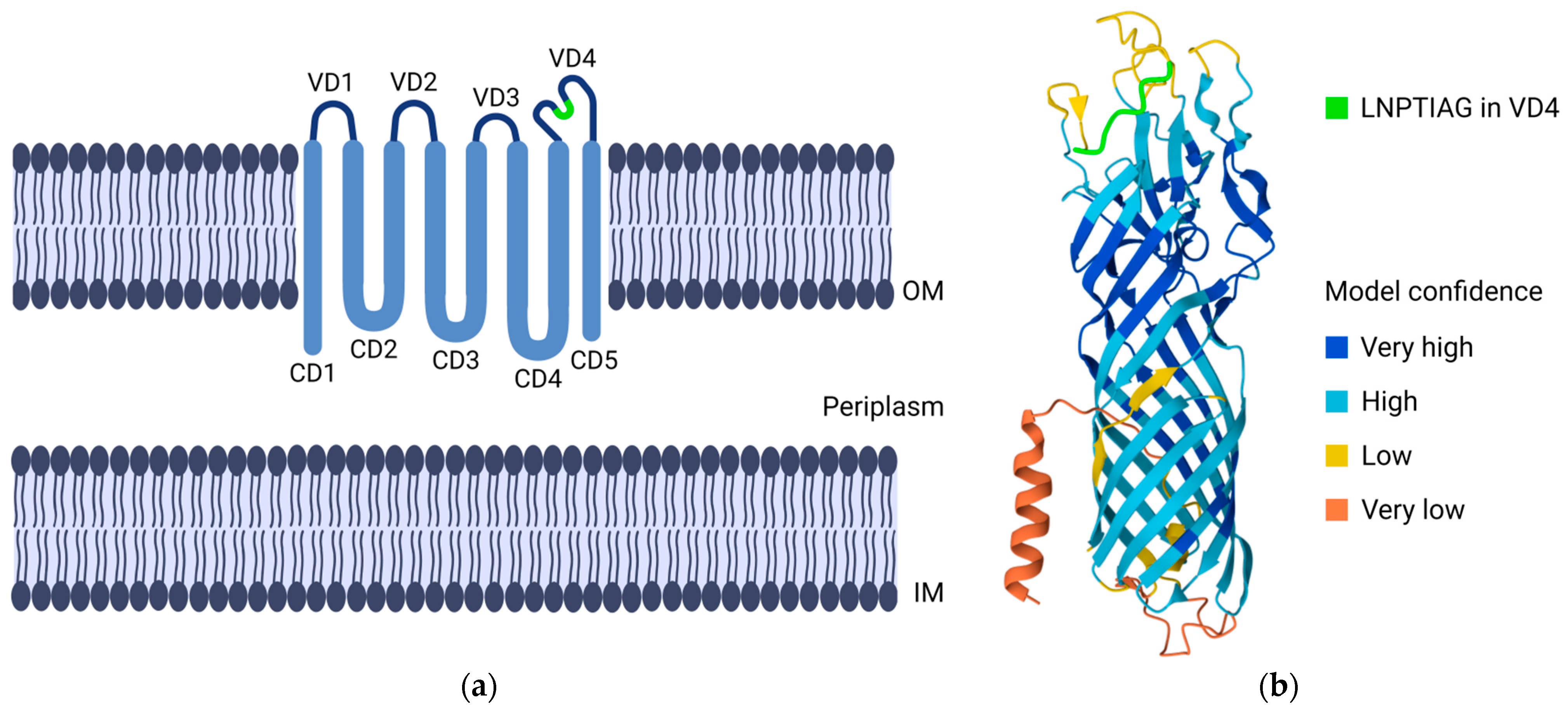 Microorganisms 12 01196 g002