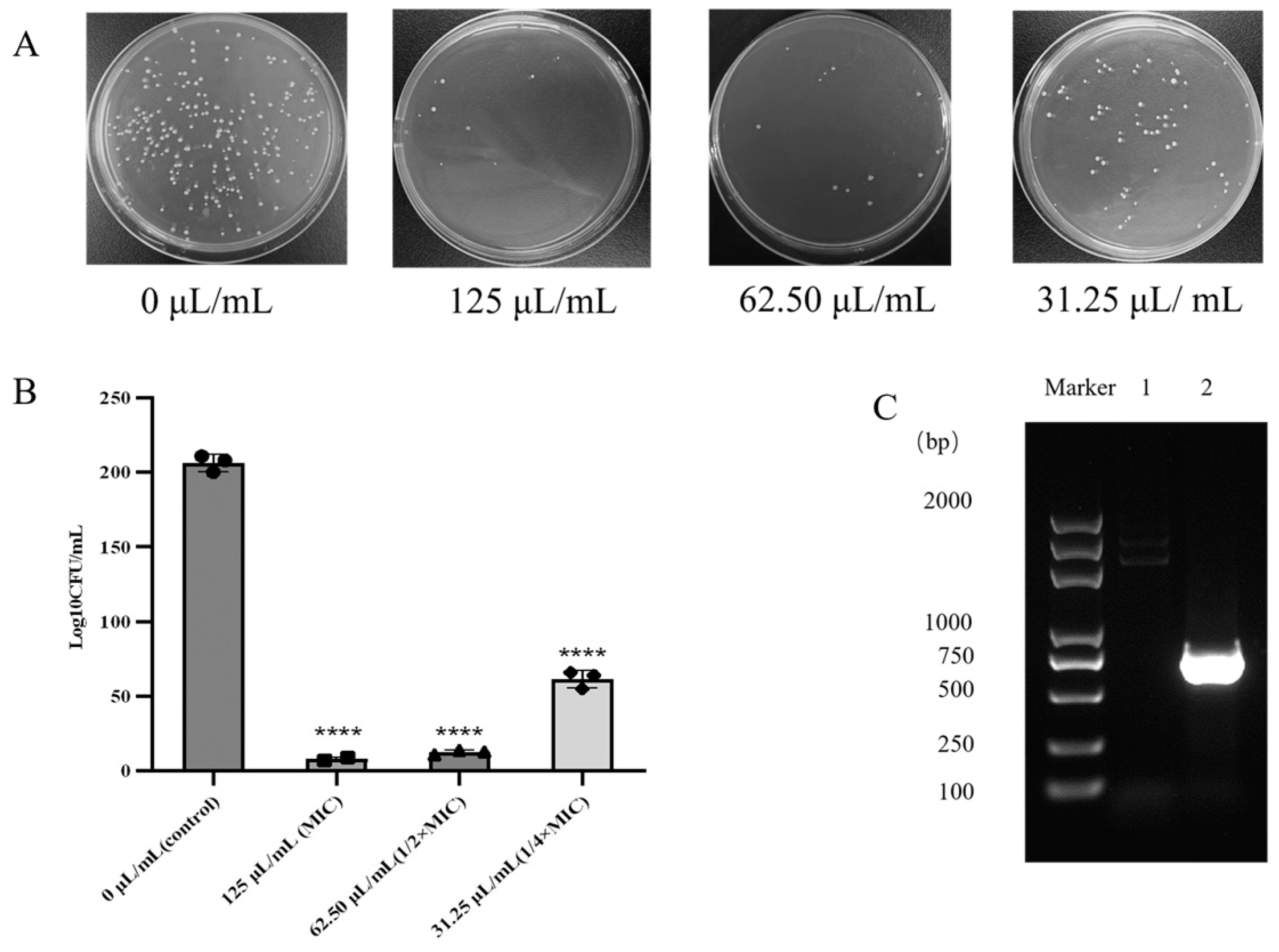 Microorganisms 12 01203 g003