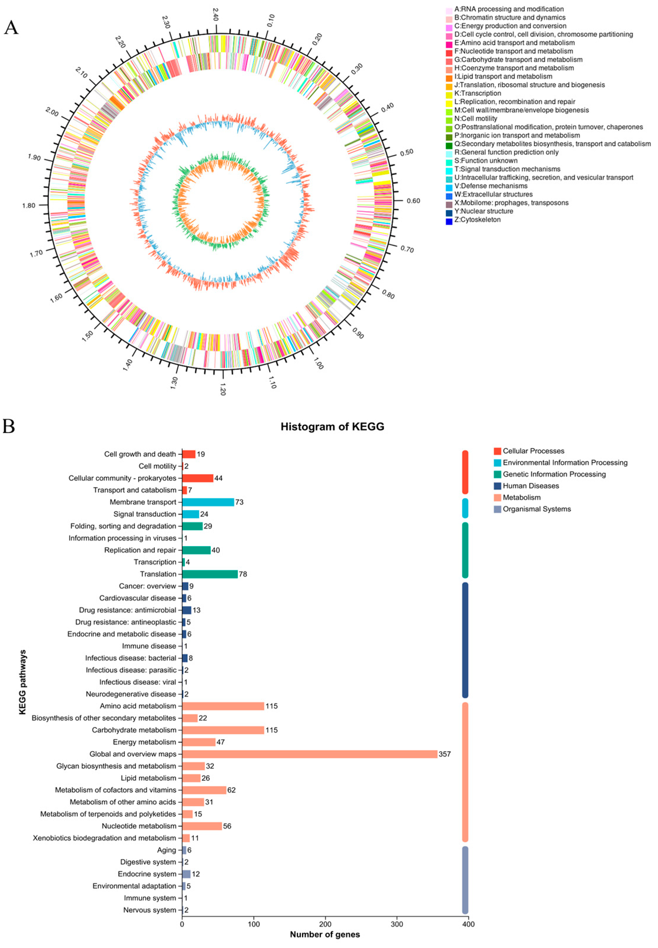 Microorganisms 12 01203 g004