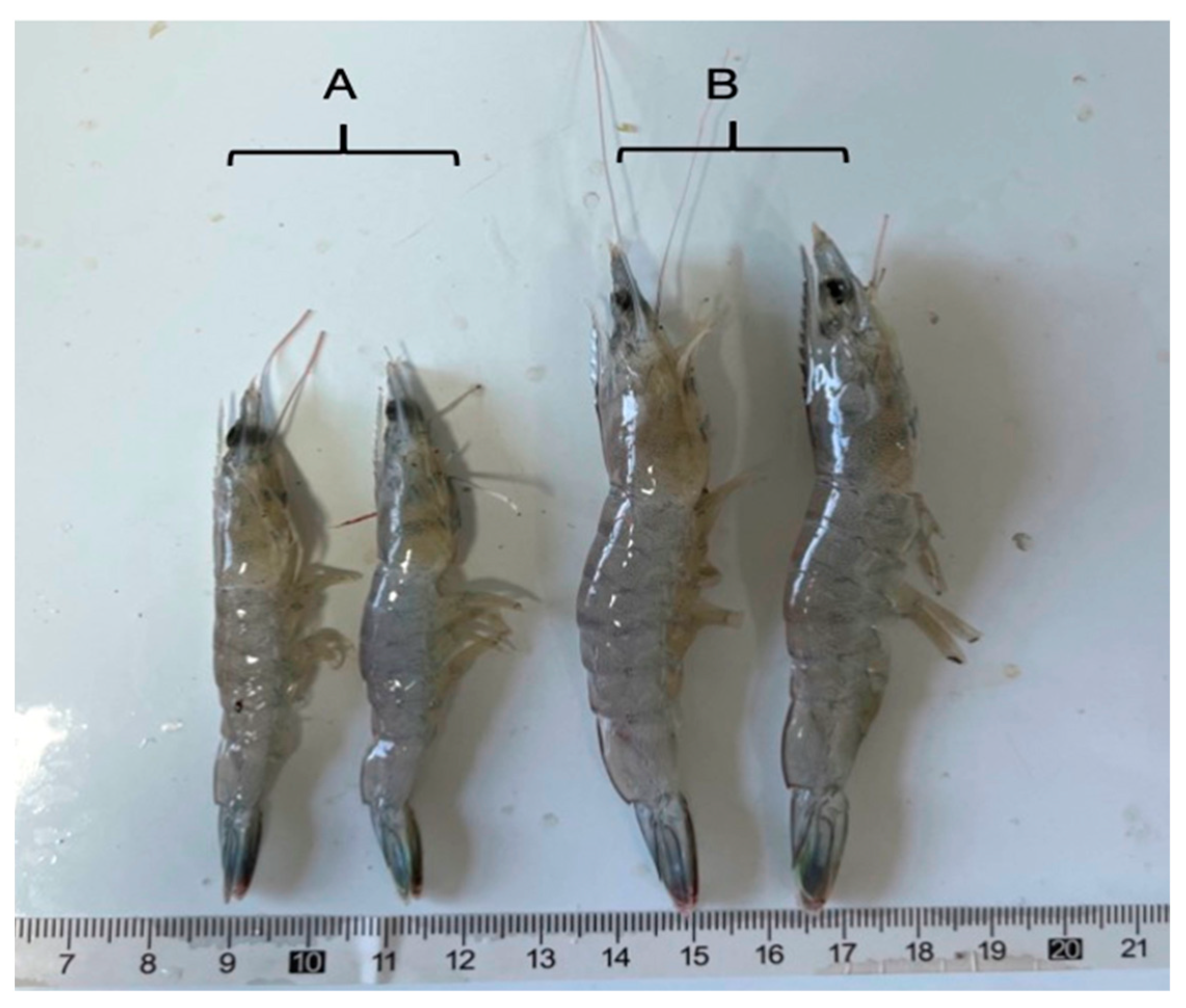 Microorganisms 12 01208 g001