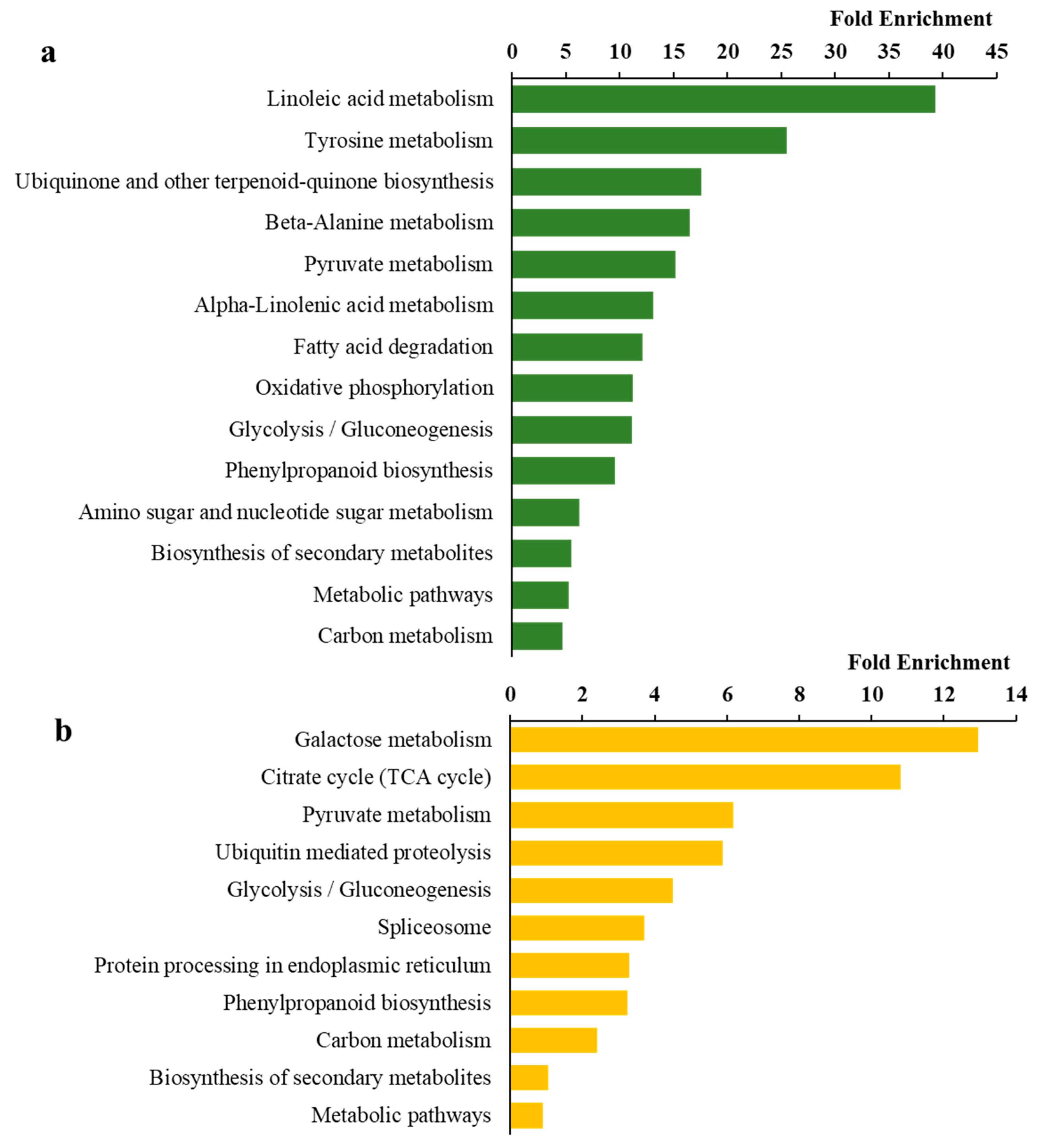Microorganisms 12 01212 g004