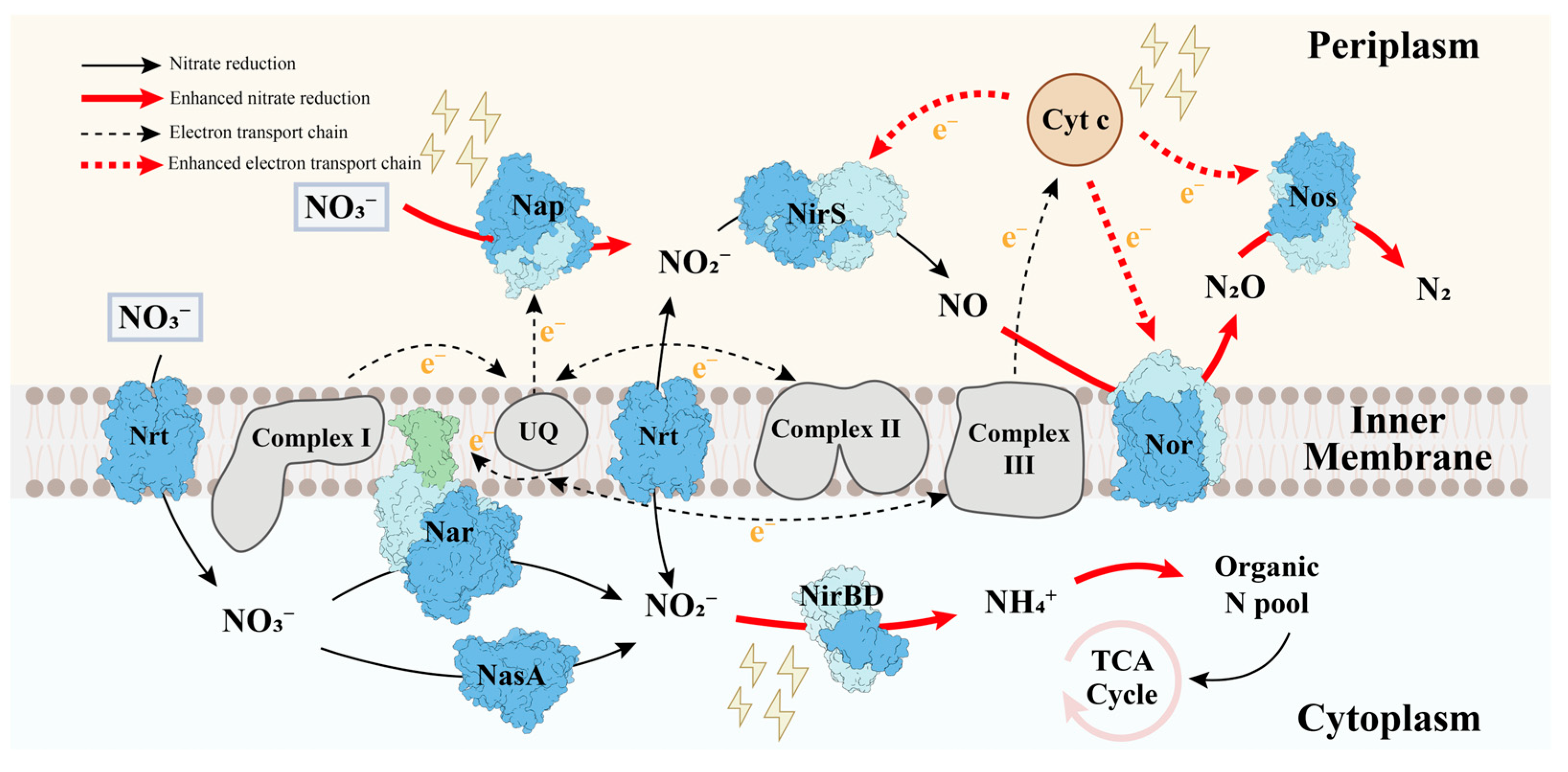 Microorganisms 12 01218 g006