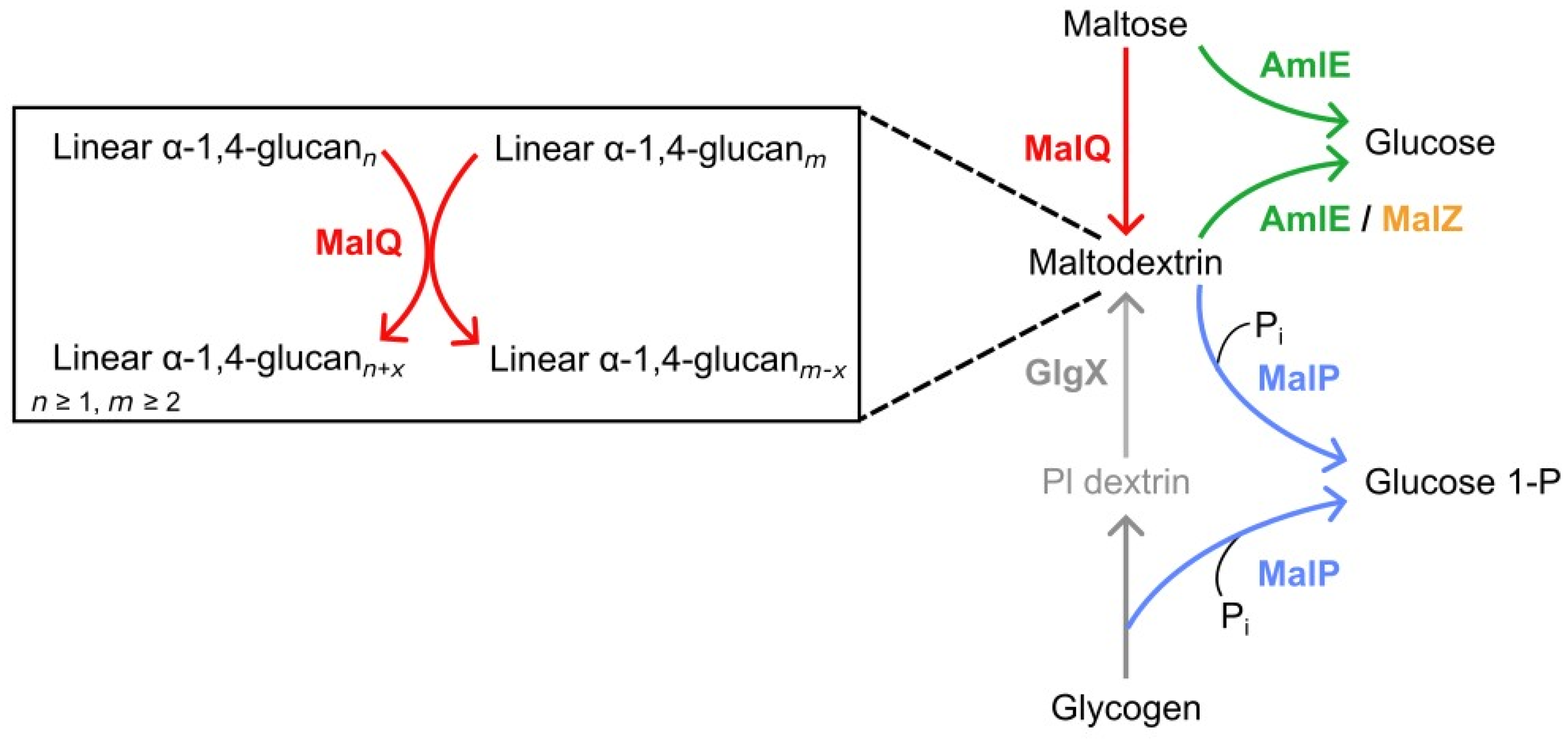 Microorganisms 12 01221 g006