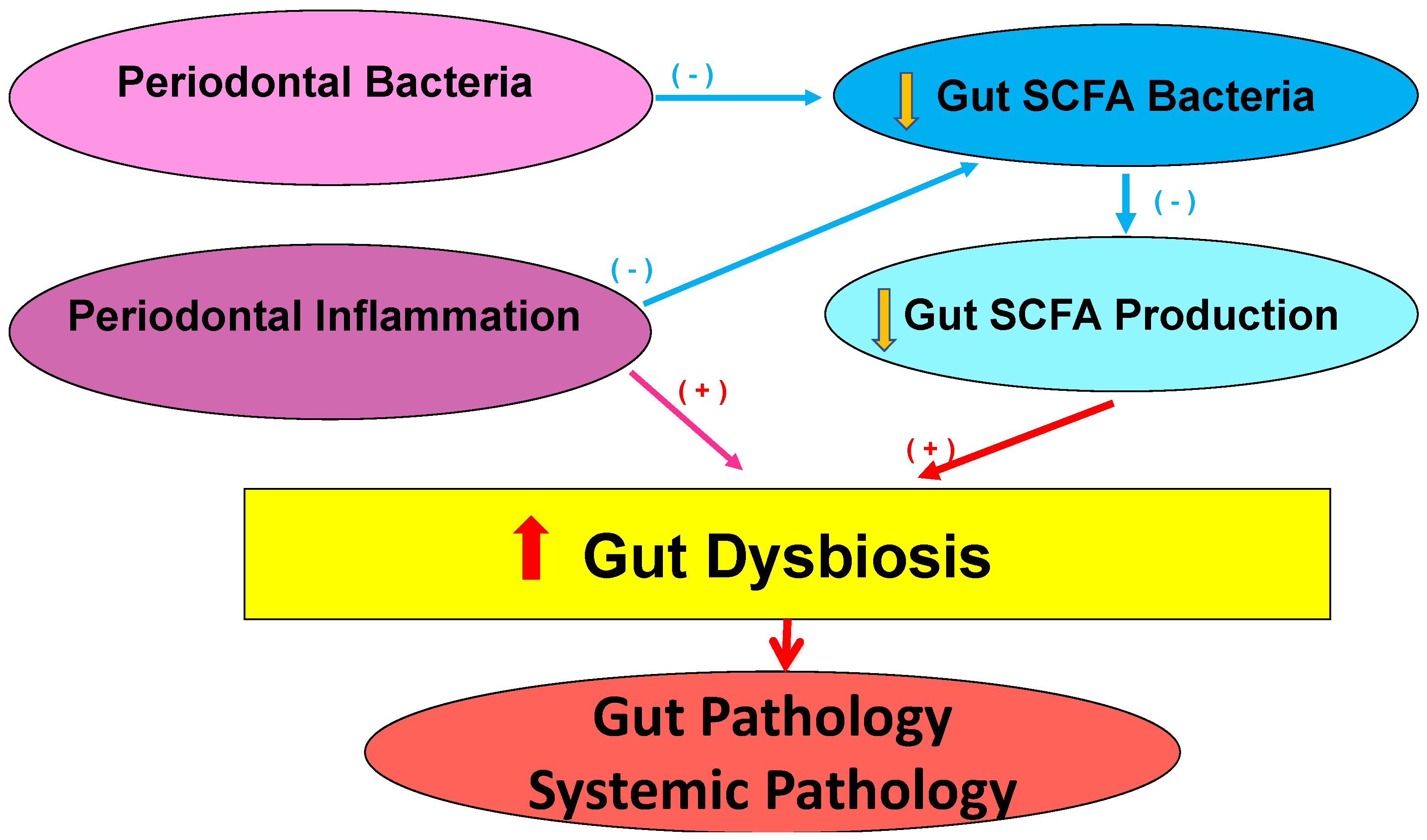 Microorganisms 12 01225 g006