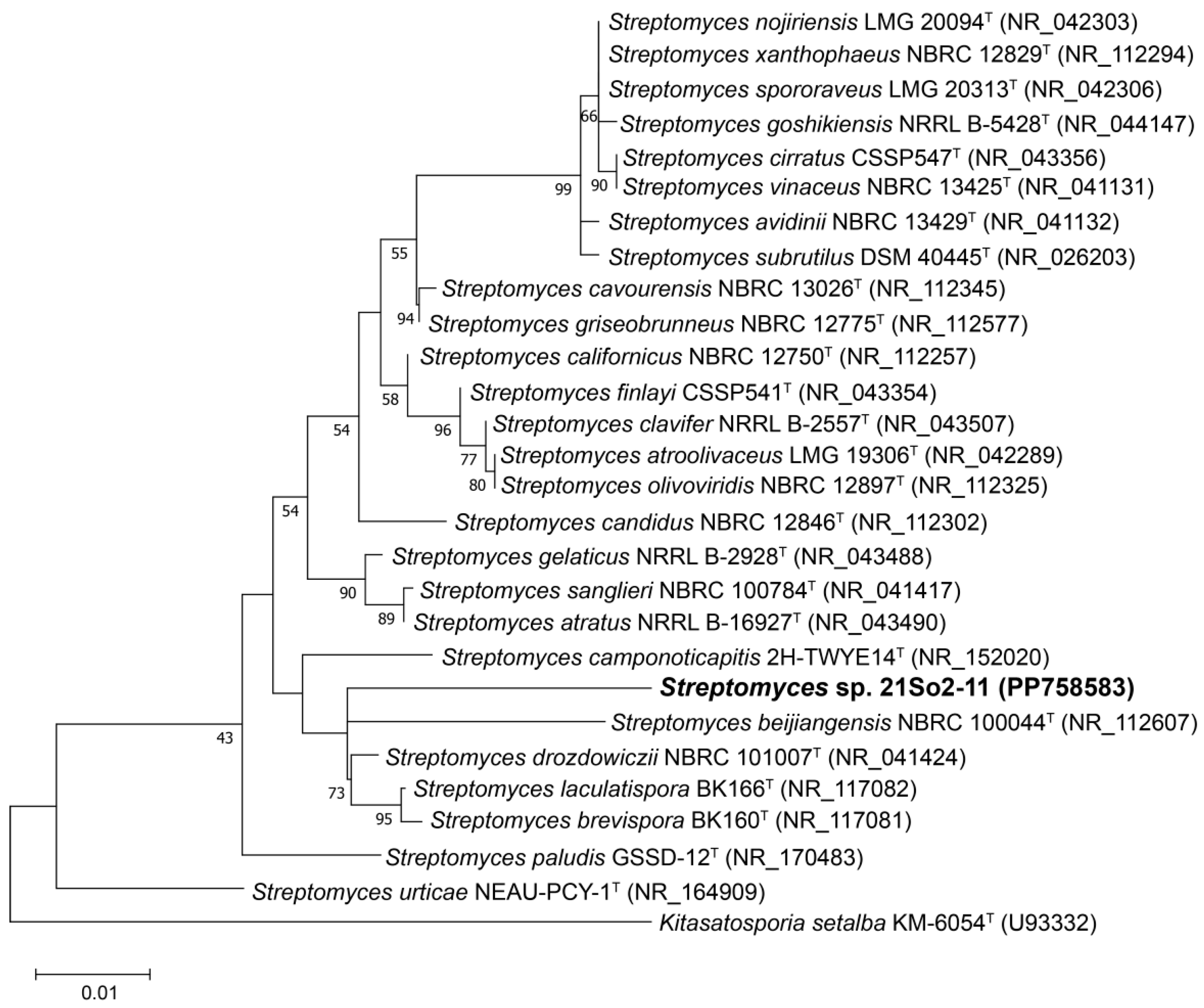 Microorganisms 12 01228 g001 Microorganisms 12 01228 g001