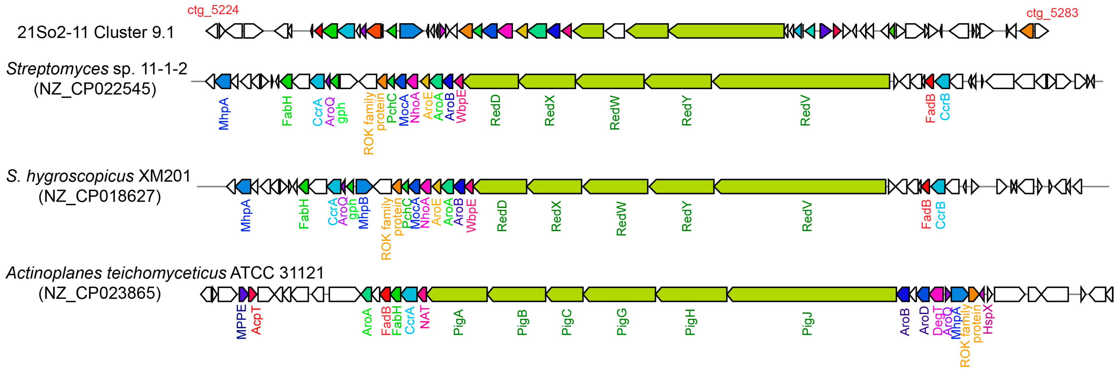 Microorganisms 12 01228 g004 Microorganisms 12 01228 g004