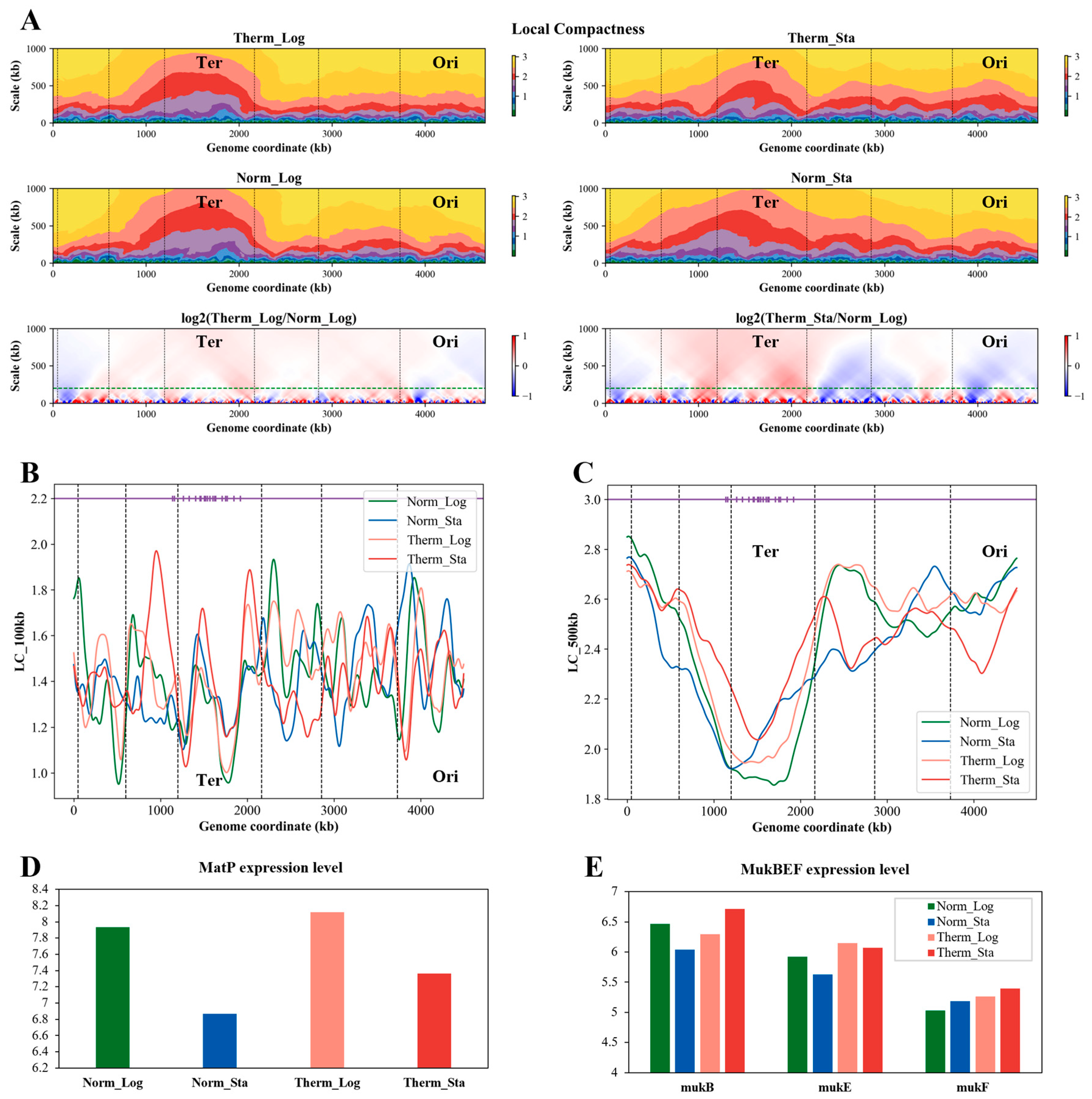 Microorganisms 12 01229 g005