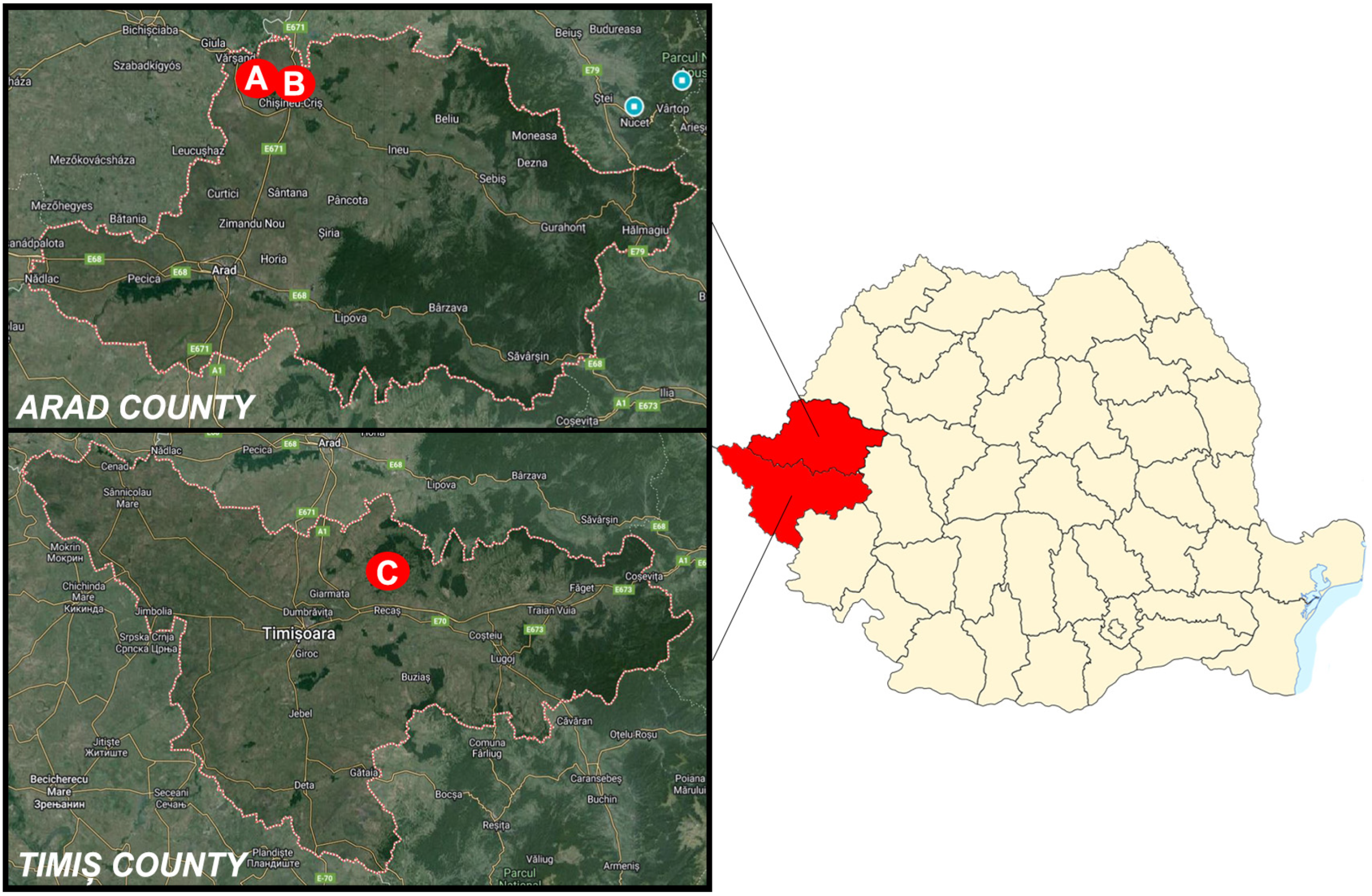Microorganisms 12 01236 g001