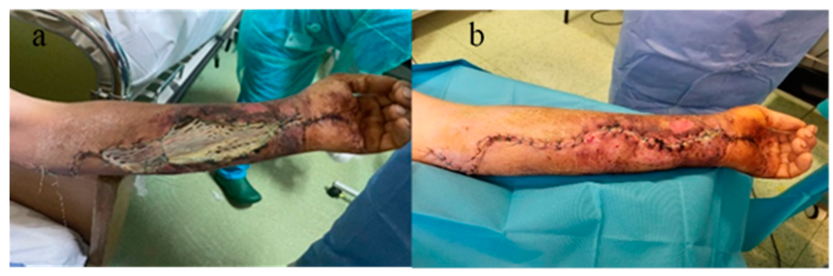 Microorganisms 12 01240 g004 Microorganisms 12 01240 g004