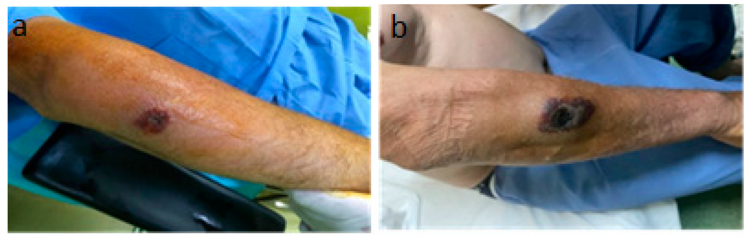 Microorganisms 12 01240 g005 Microorganisms 12 01240 g005