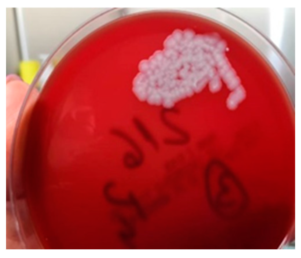 Microorganisms 12 01240 g006 Microorganisms 12 01240 g006