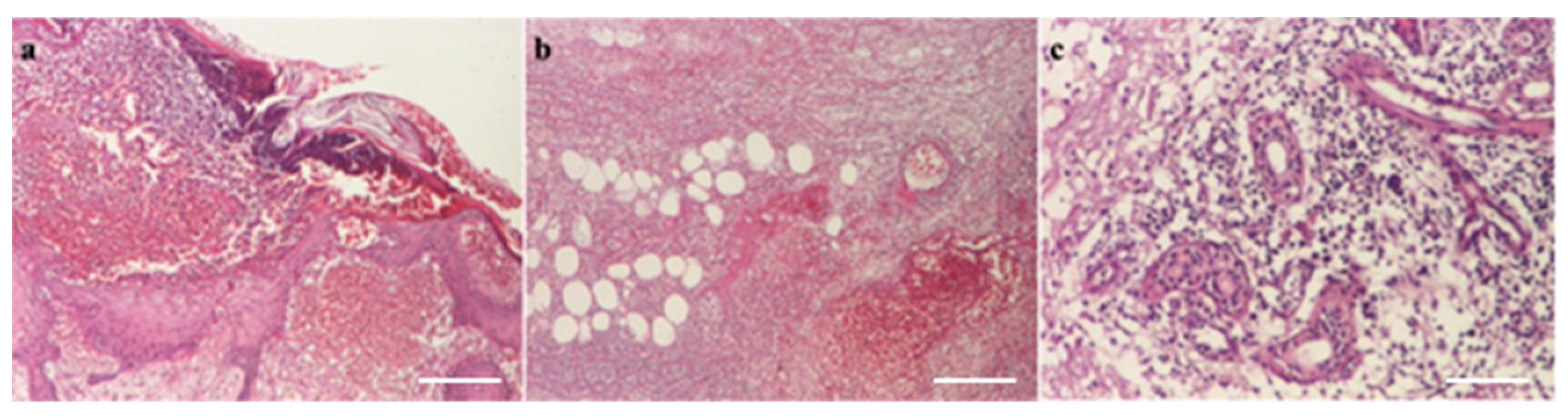 Microorganisms 12 01240 g008 Microorganisms 12 01240 g008