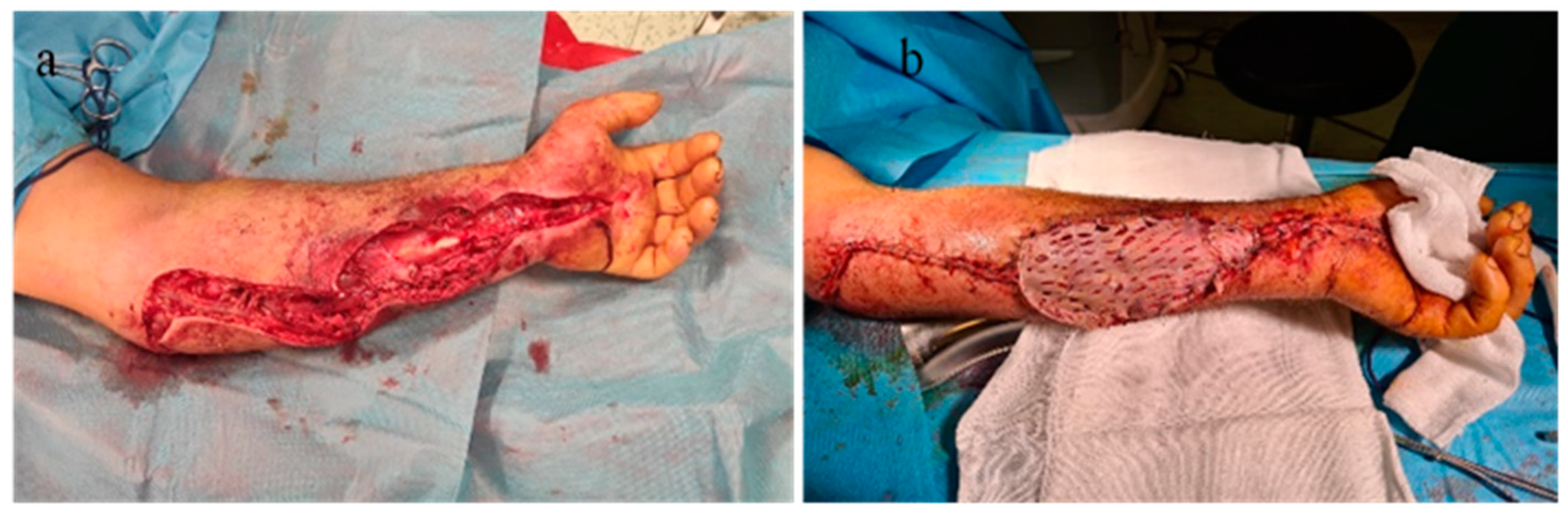 Microorganisms 12 01240 g010 Microorganisms 12 01240 g010