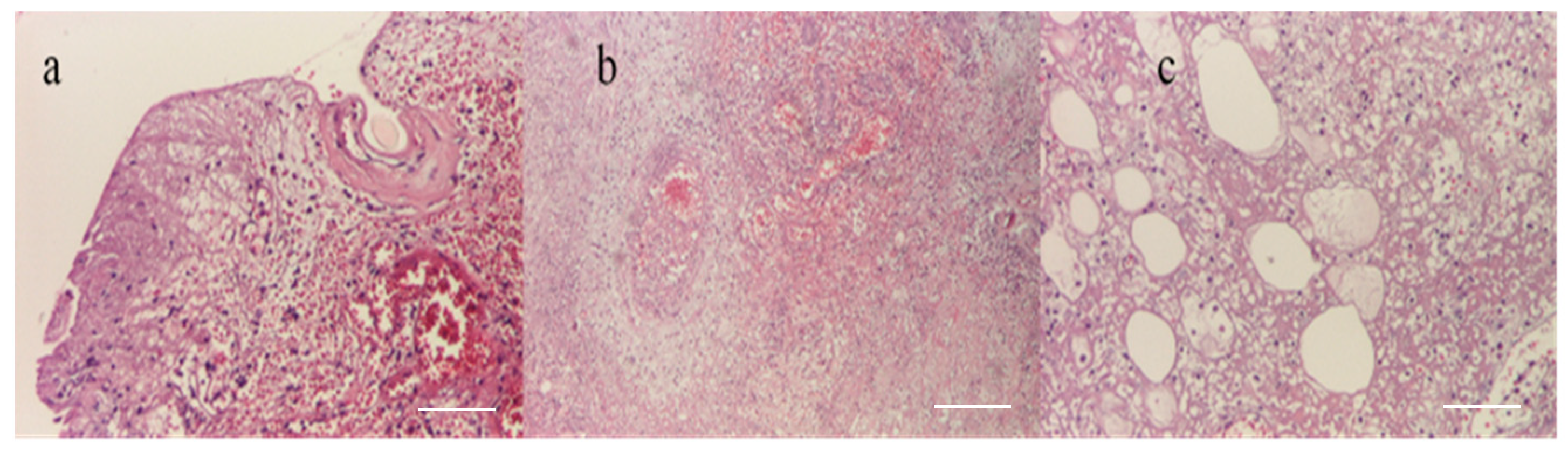 Microorganisms 12 01240 g012 Microorganisms 12 01240 g012