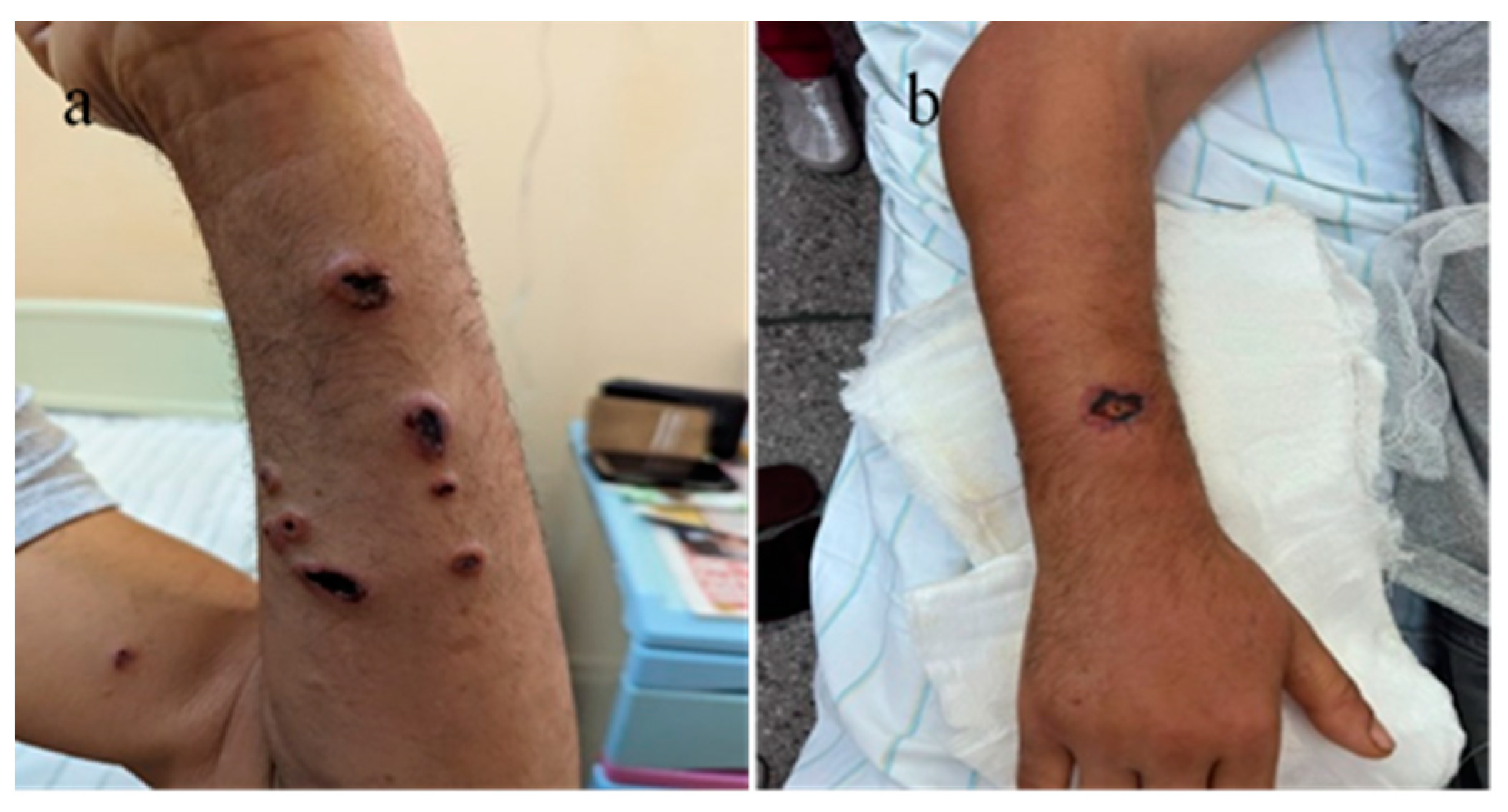 Microorganisms 12 01240 g013 Microorganisms 12 01240 g013