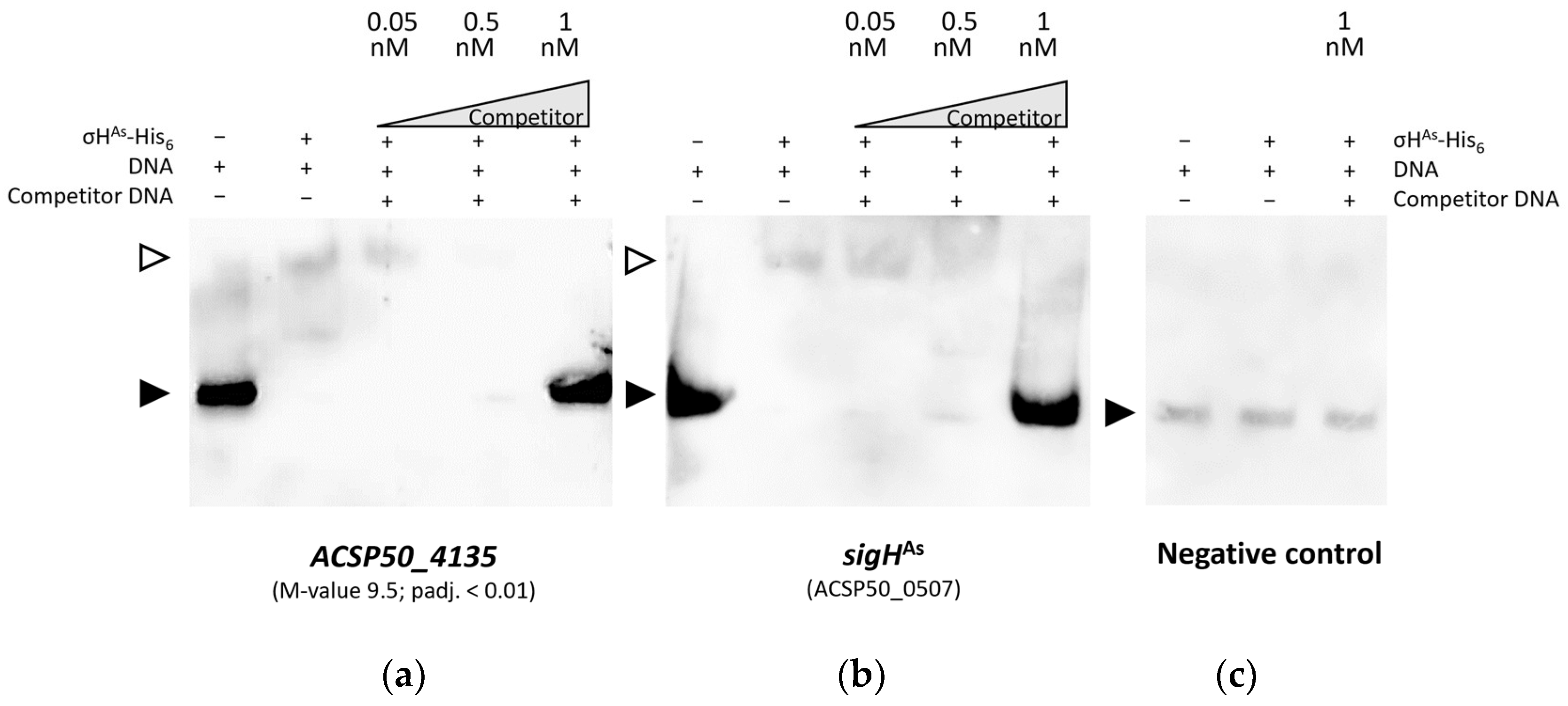 Microorganisms 12 01241 g007 Microorganisms 12 01241 g007