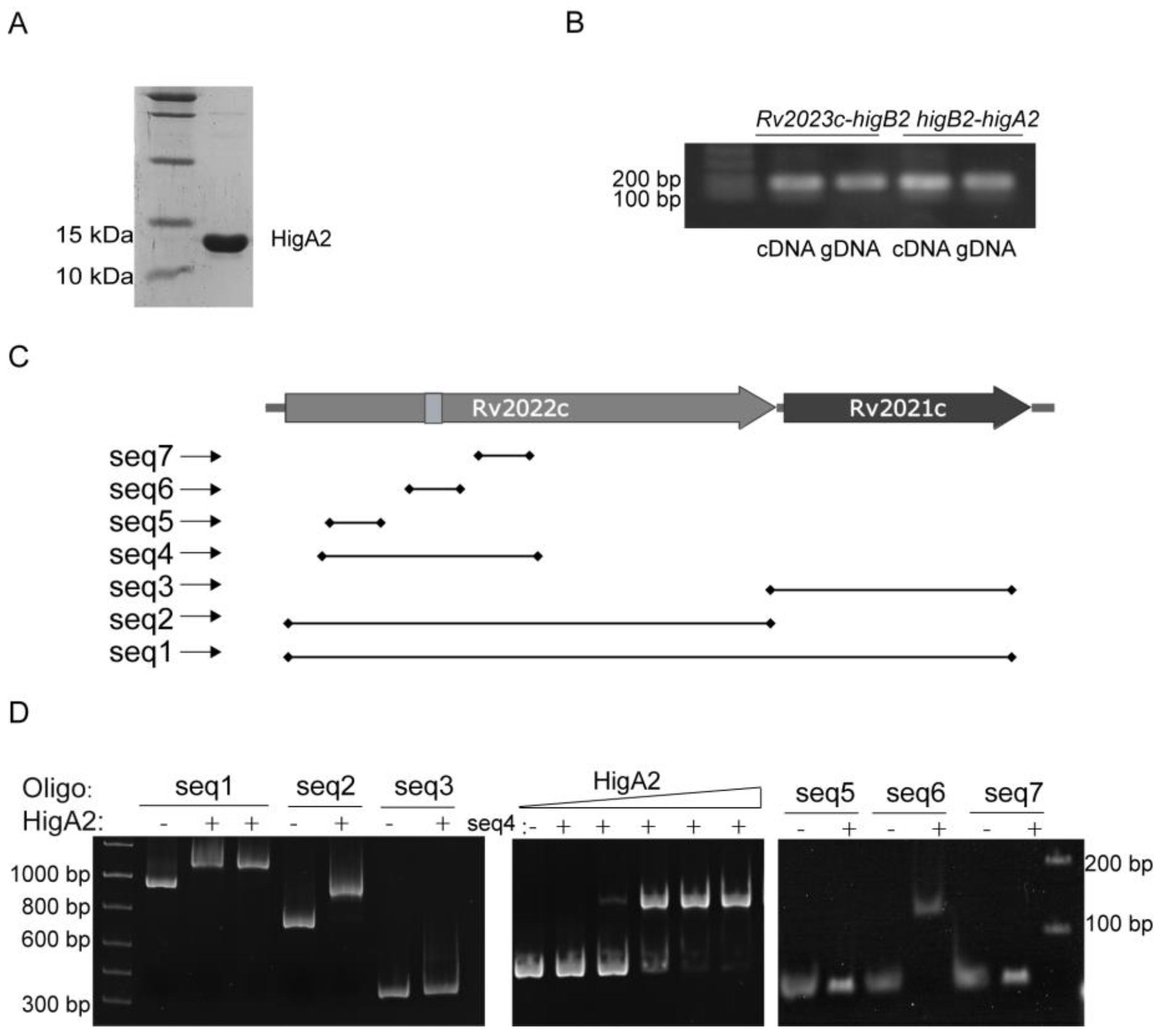 Microorganisms 12 01244 g002
