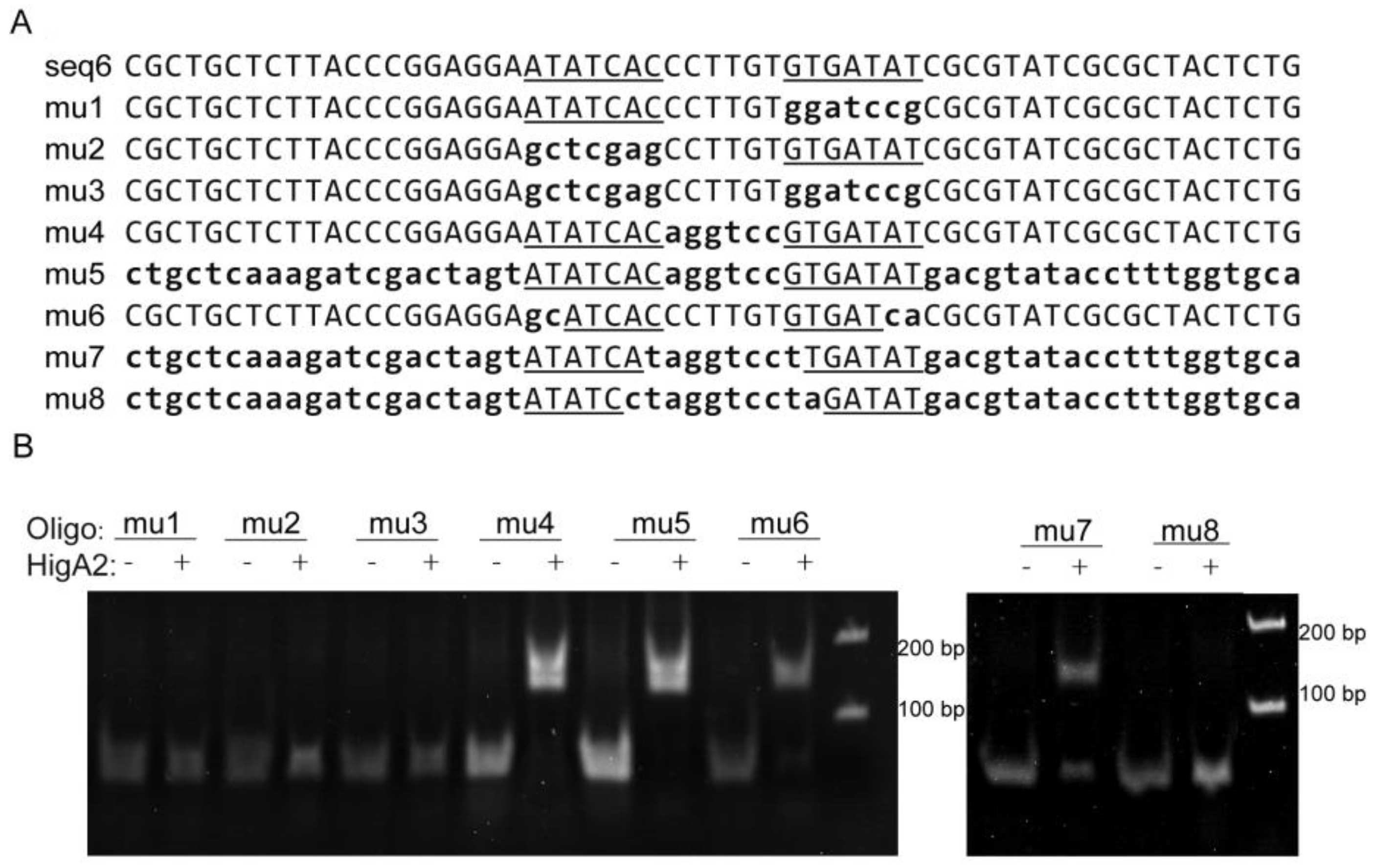 Microorganisms 12 01244 g003