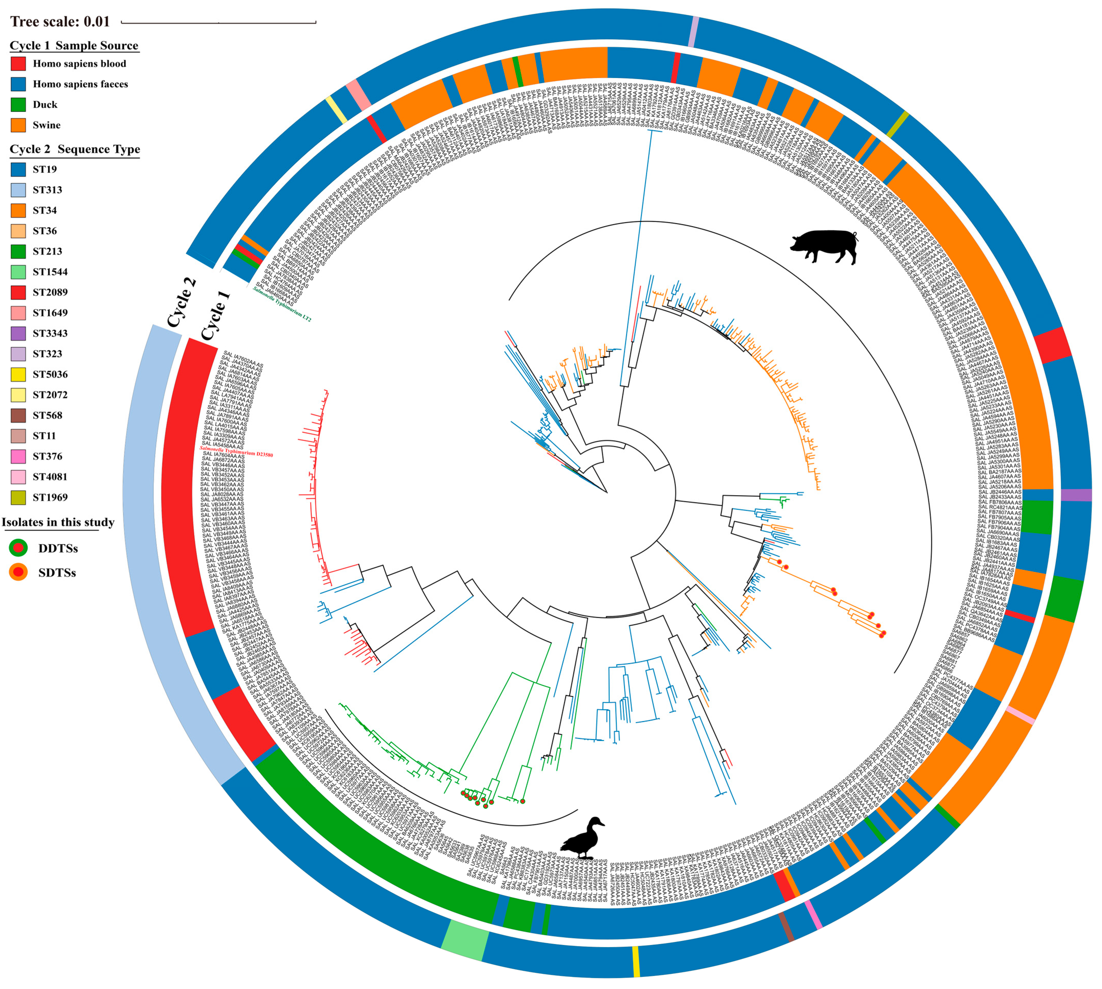 Microorganisms 12 01258 g001
